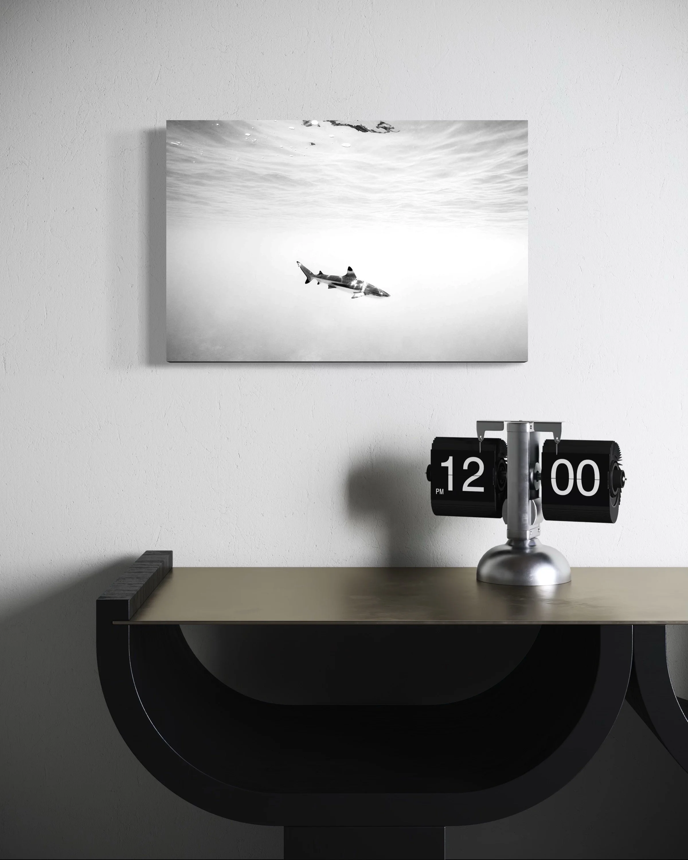 Fine art black and white shark displayed in a bedroom with natural light.