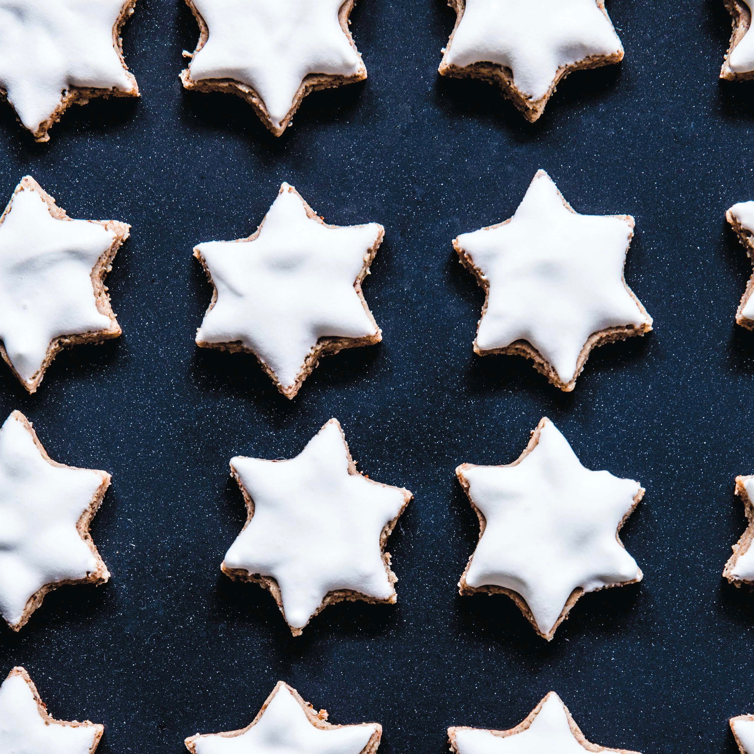 Cinnamon Almond Merigue Stars_Zimtsterne (1).jpg