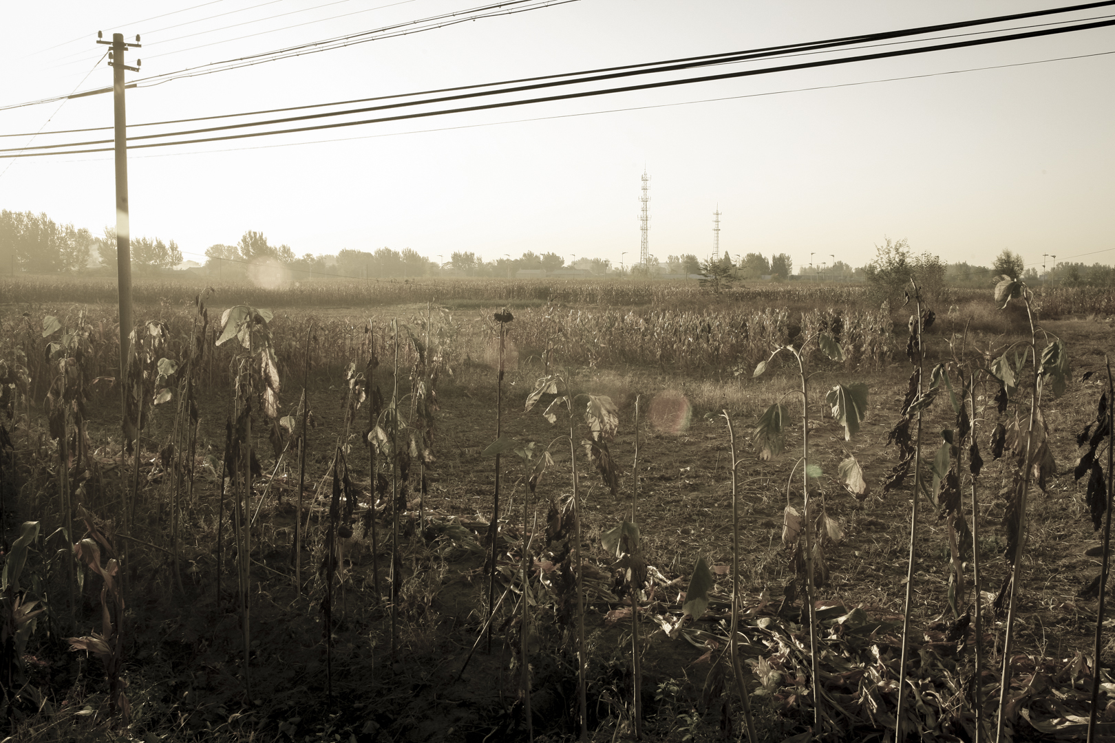 A_New_Day-25.jpg