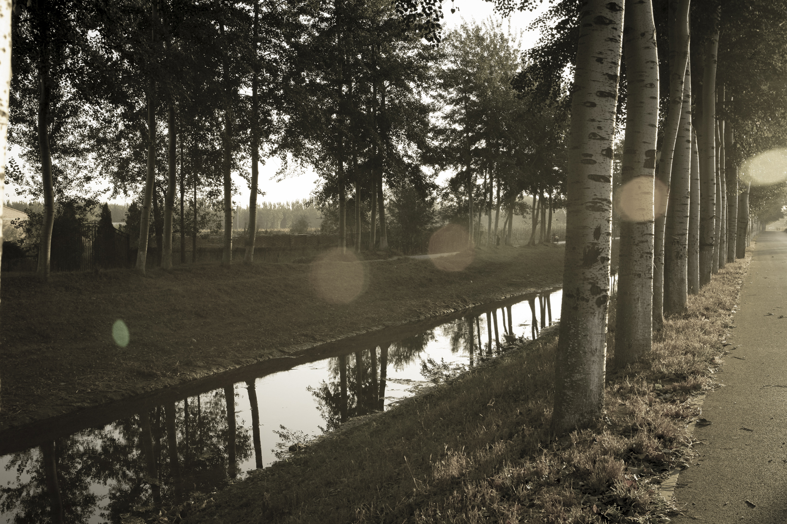 A_New_Day-27.jpg
