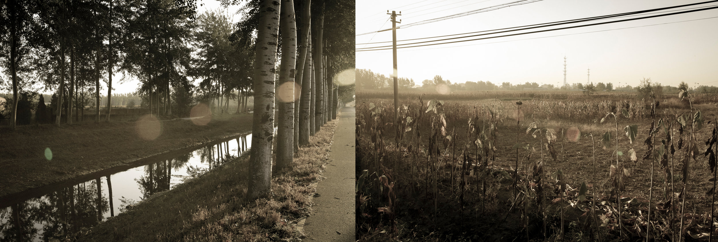 A_New_Day-51.jpg