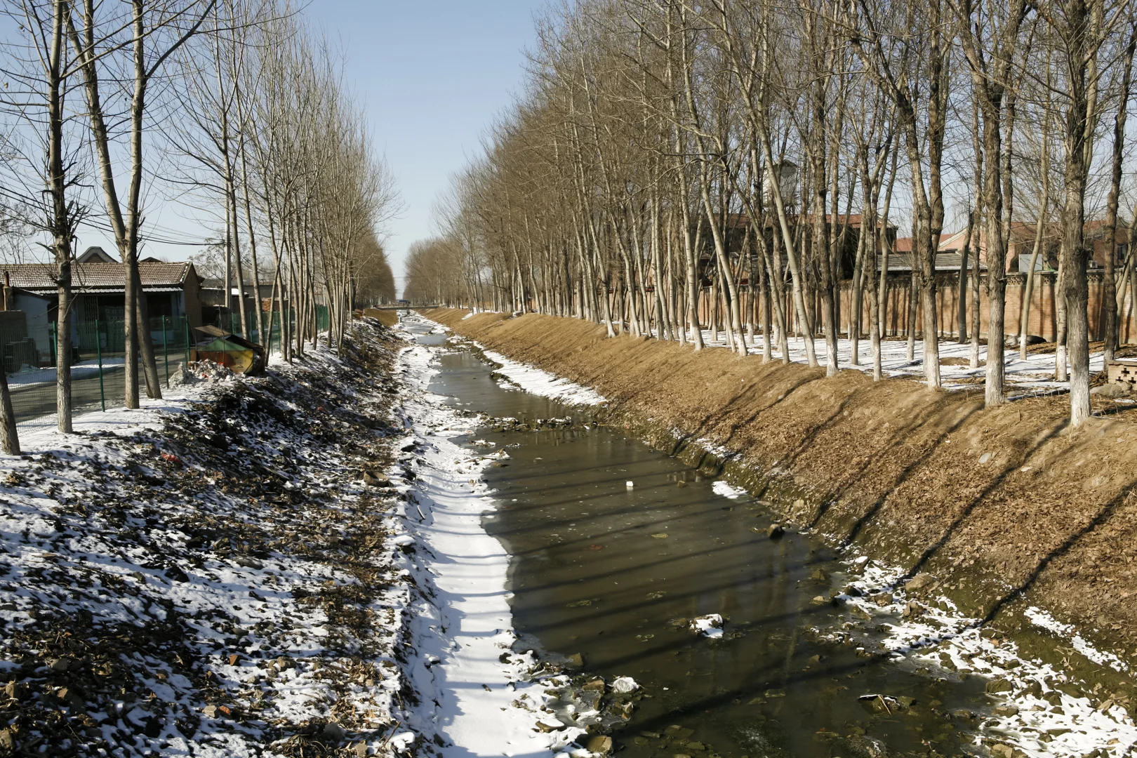 Seasons-1.jpg