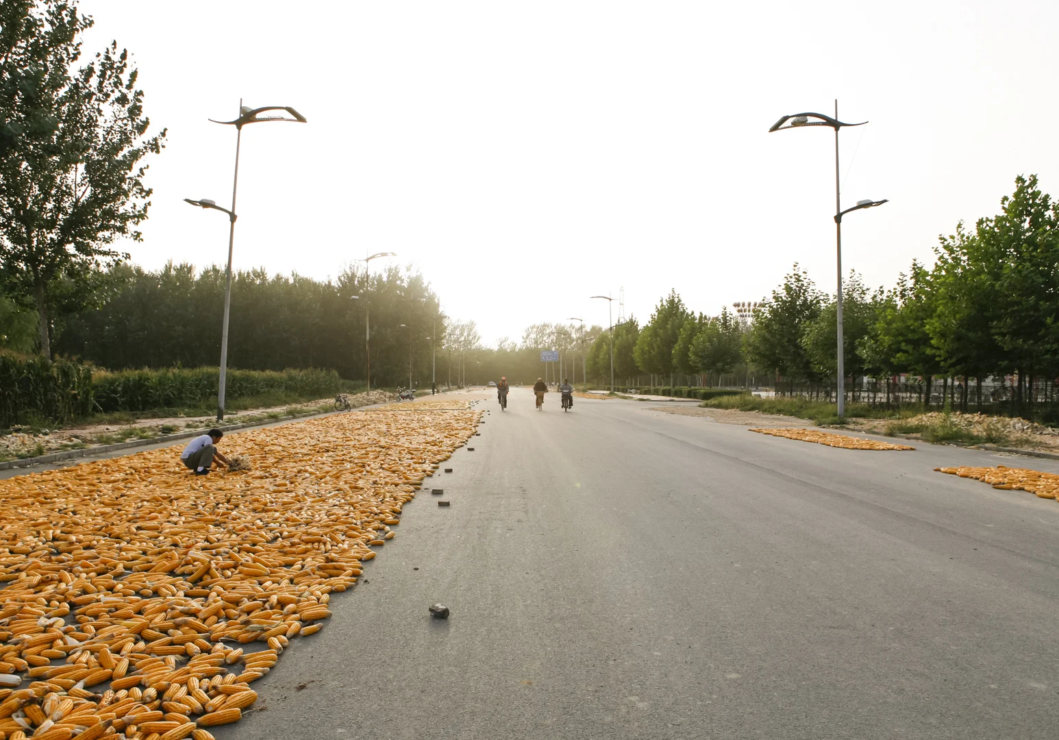 Seasons-73.jpg