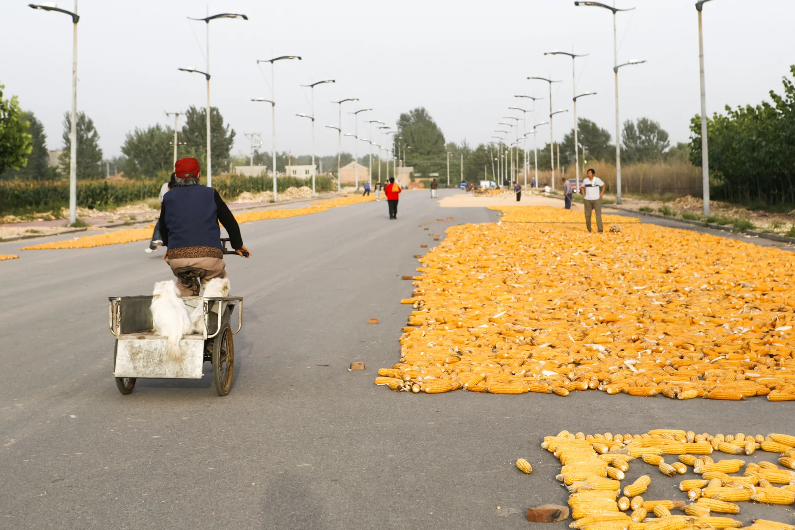 Seasons-87.jpg