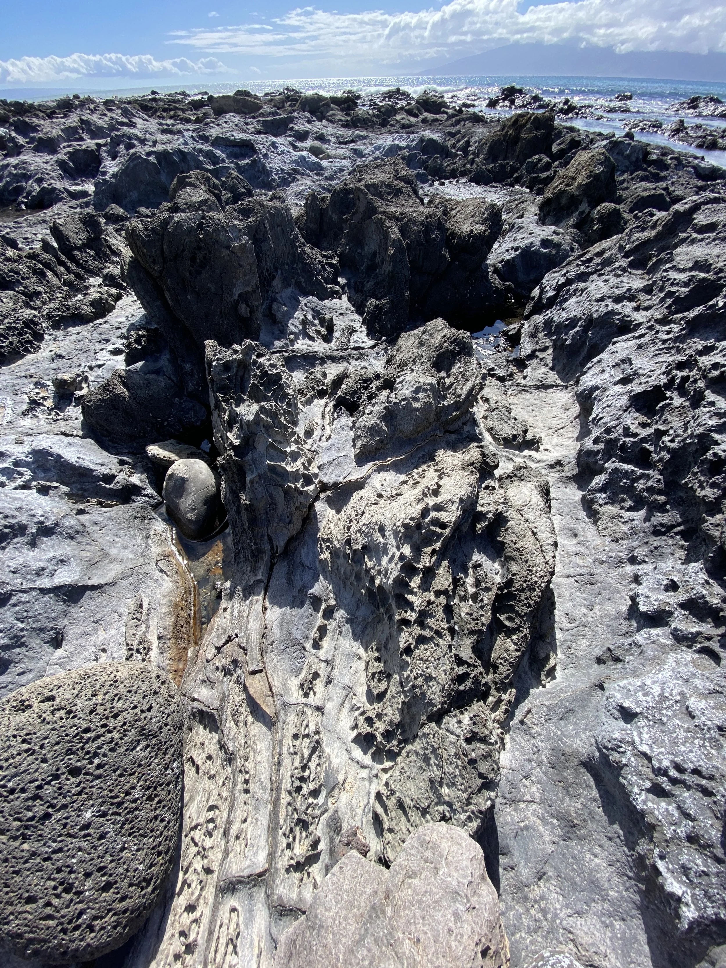 IMG_7660.JPG