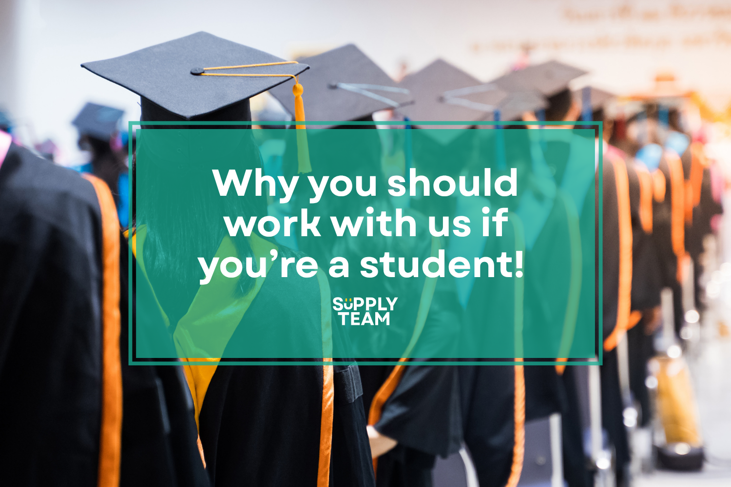 Why you should work with us if you're a Student!