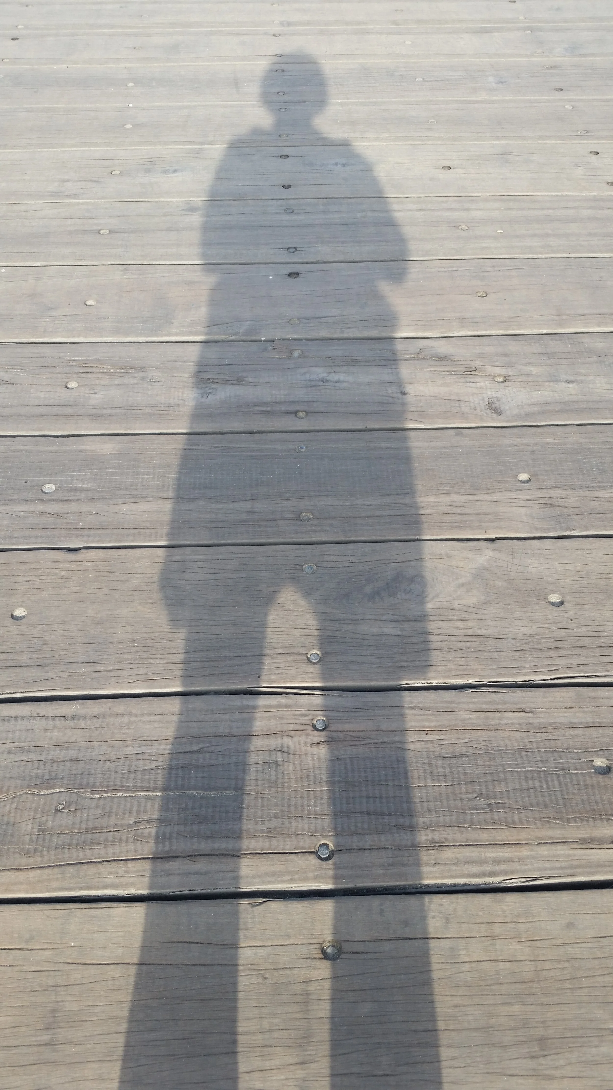 mel at seal beach.jpg