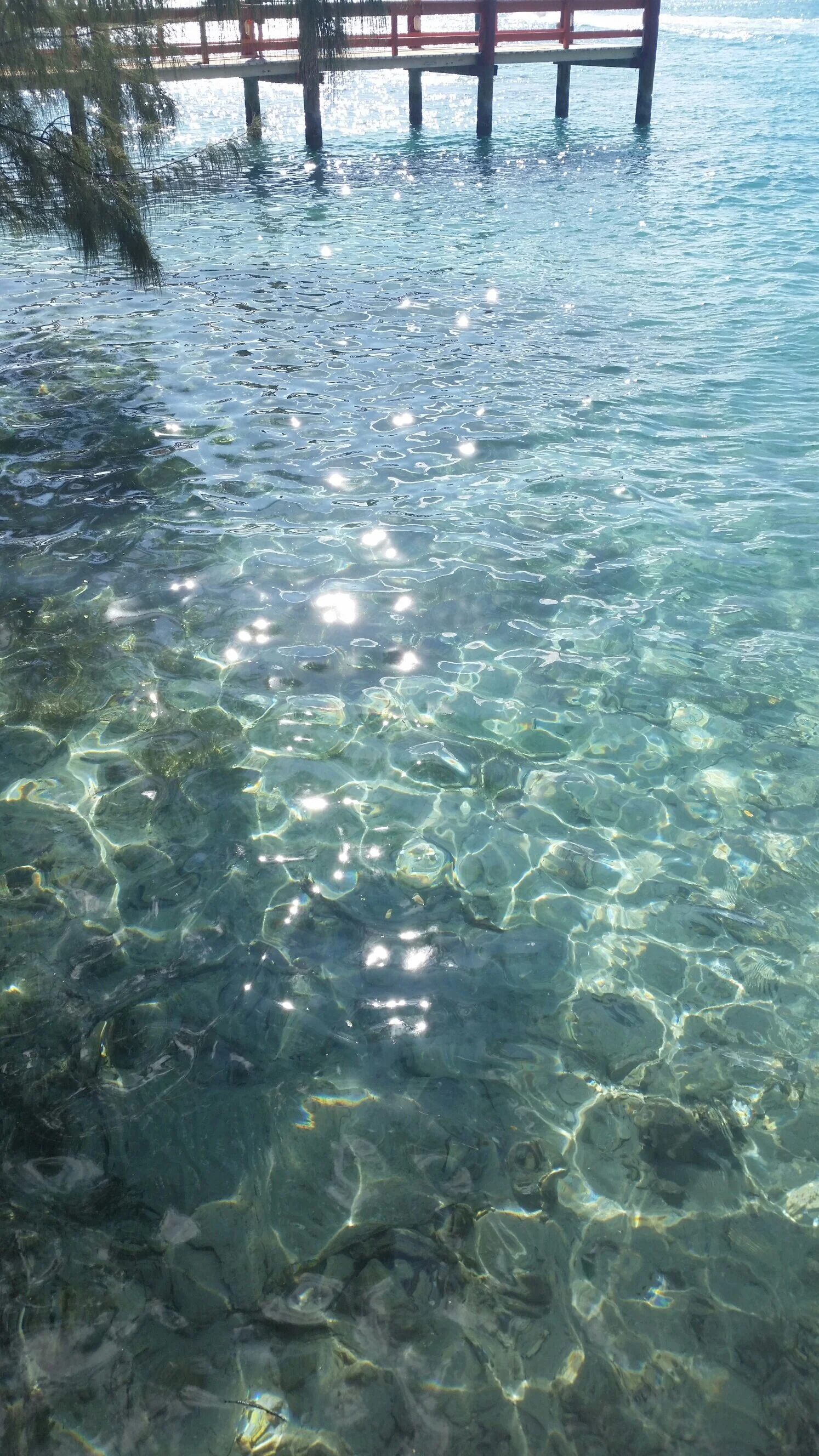 bahamas water.jpg