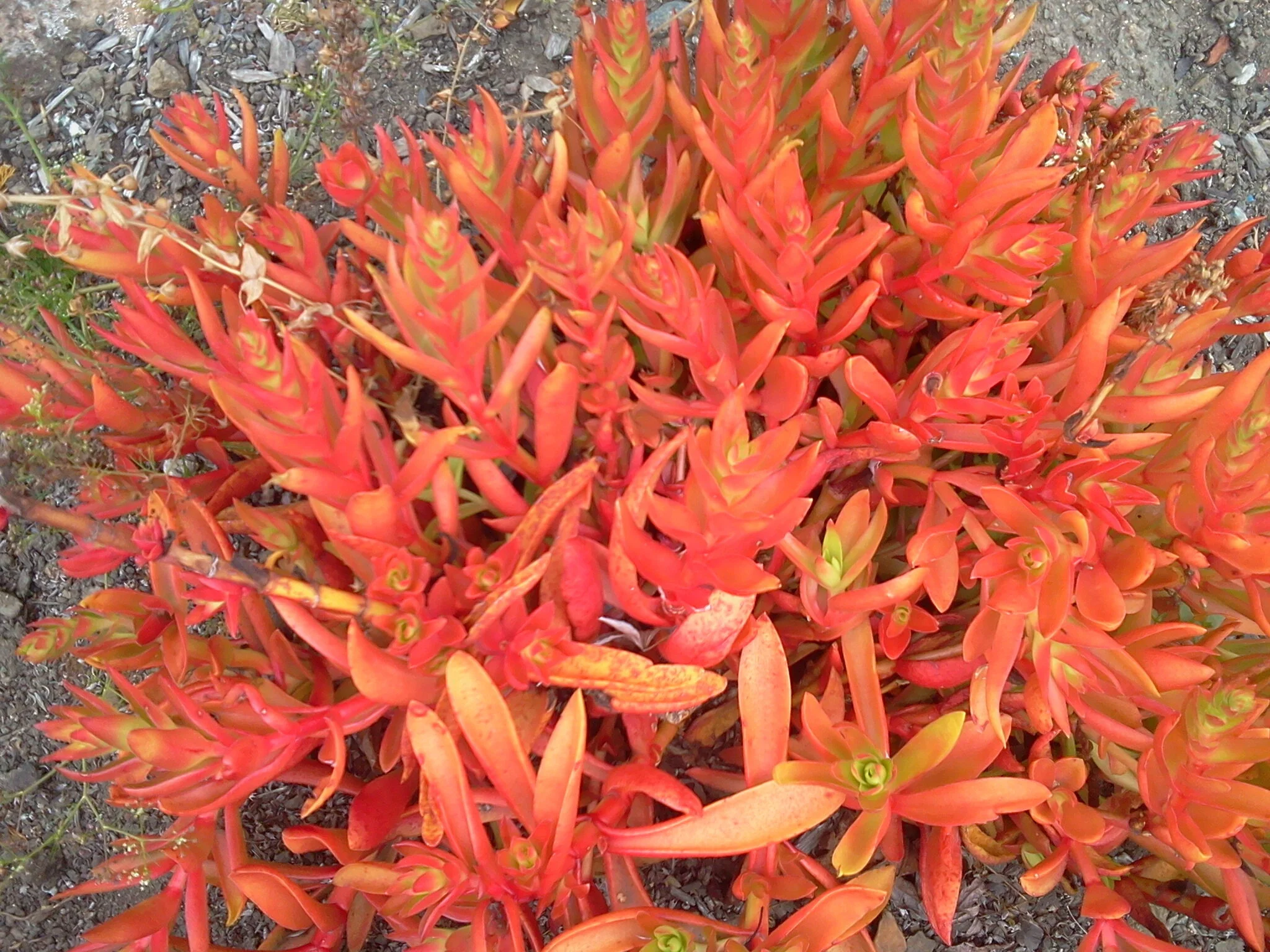 2013-07-07 09.48.52.jpg