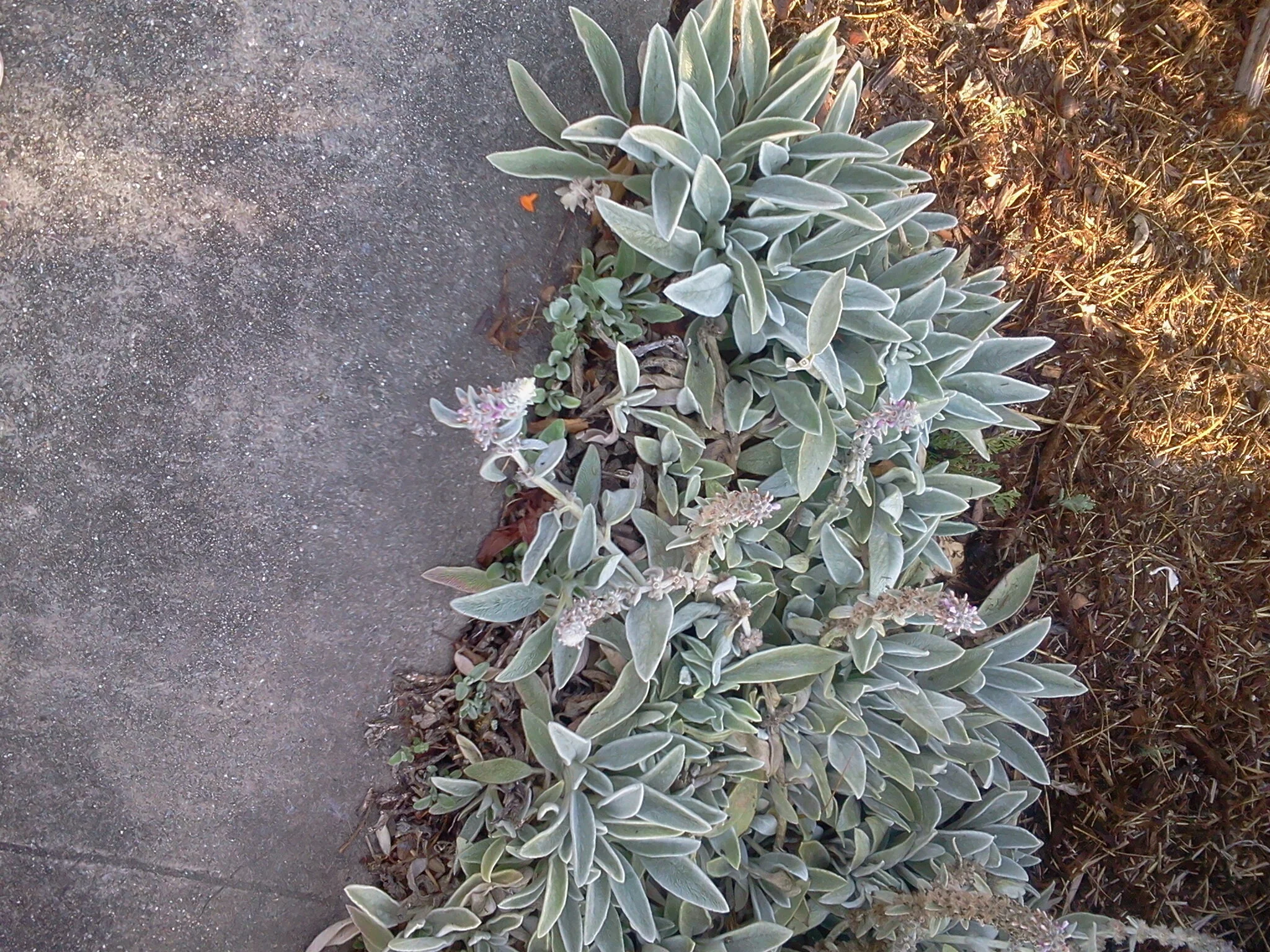 2013-07-01 08.43.21.jpg