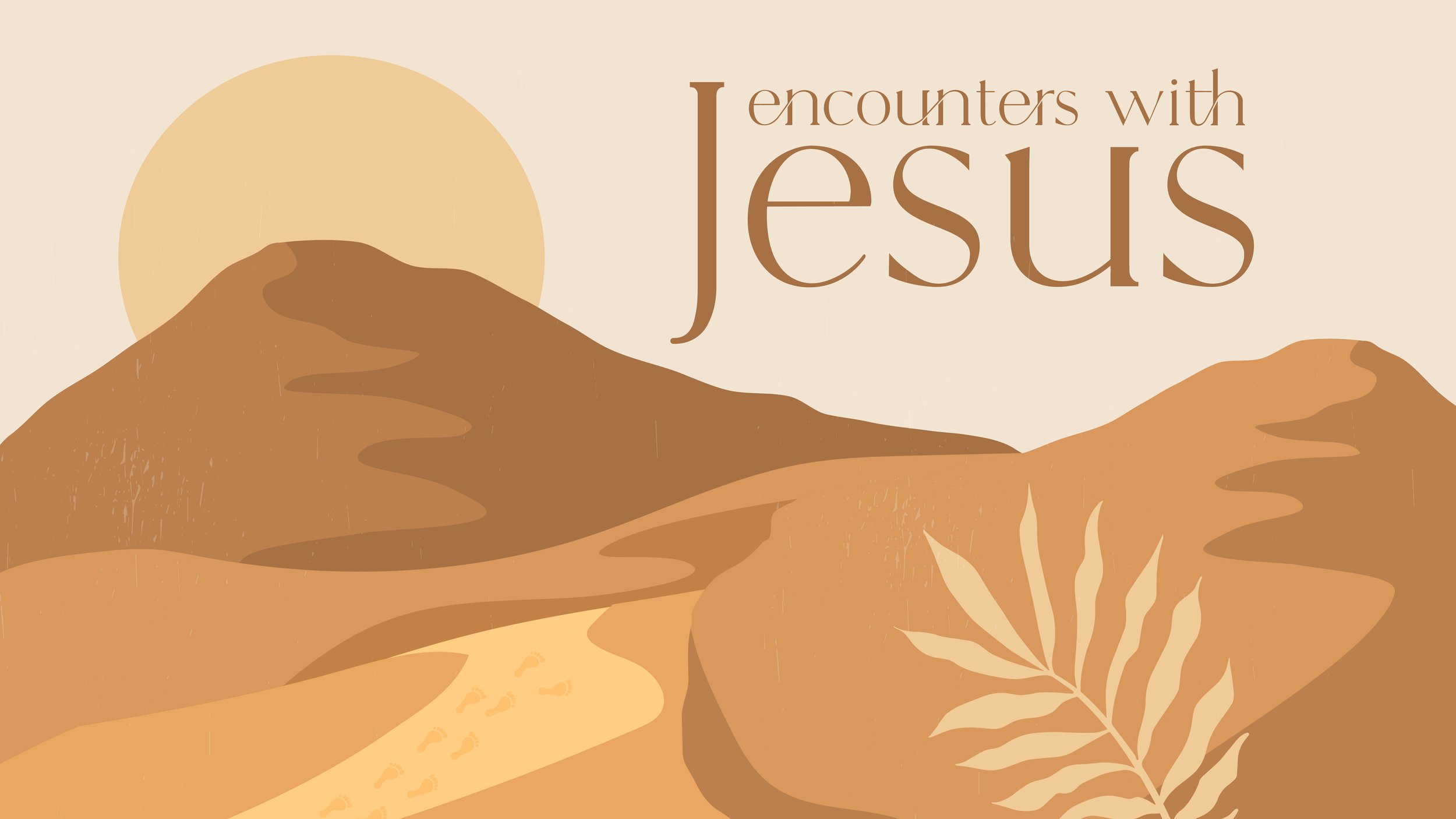 Encounters with Jesus Small Group Questions