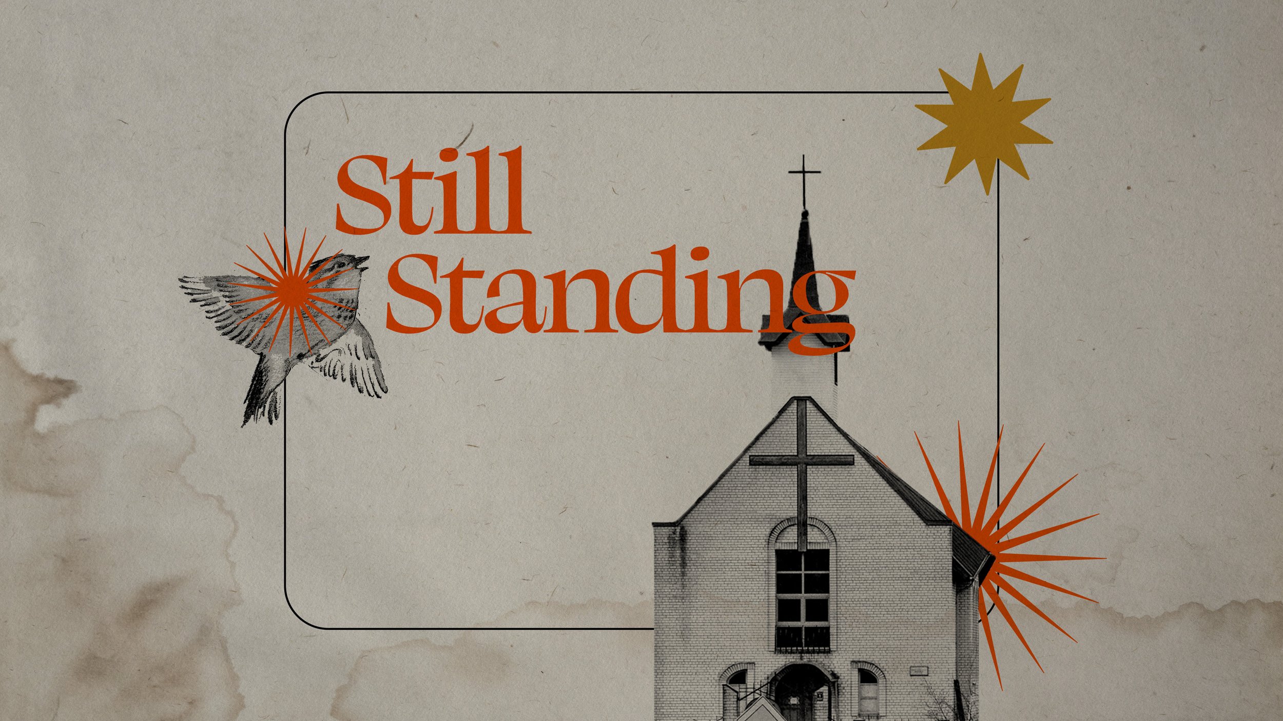 Still Standing Small Group Questions