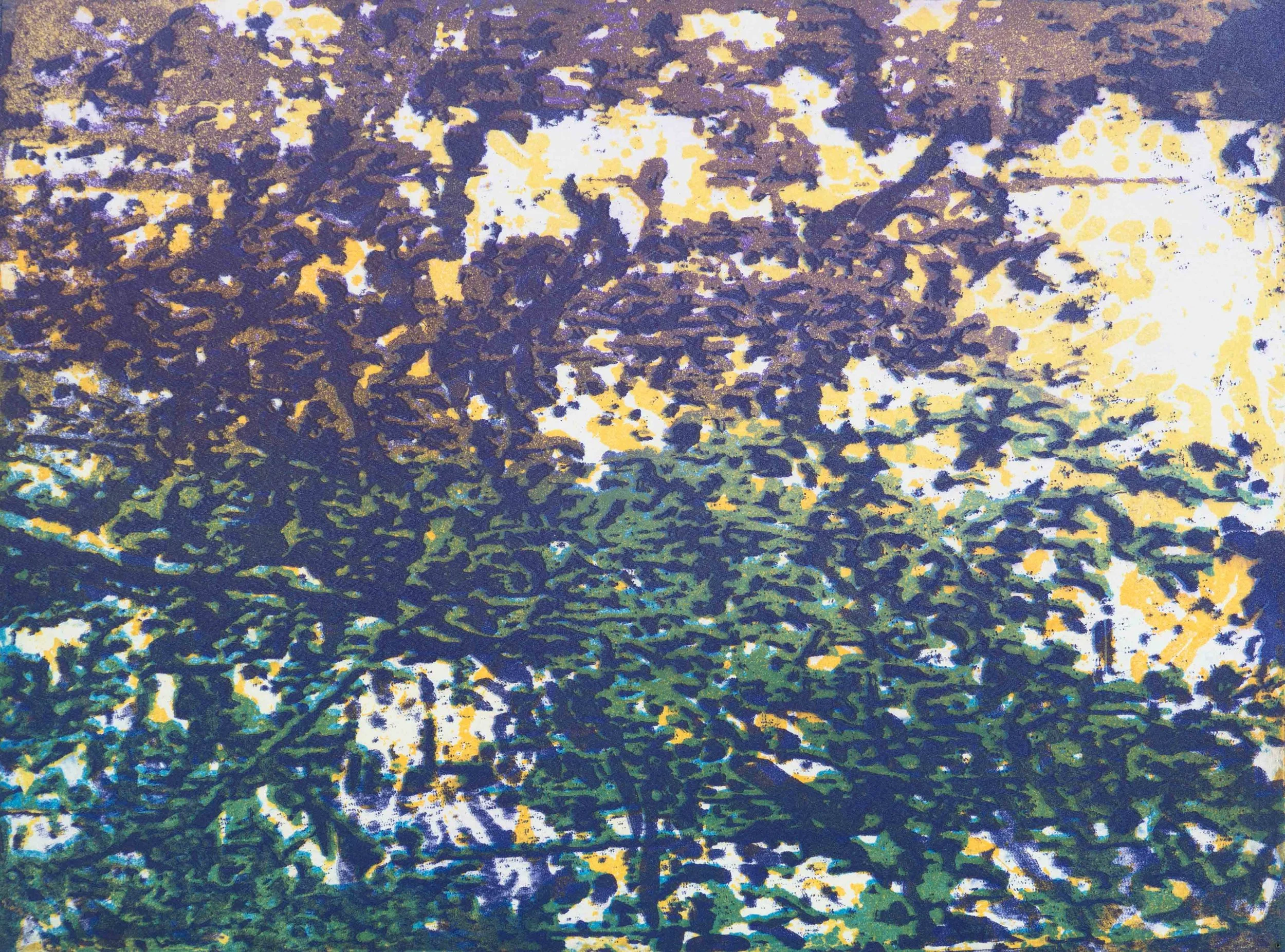 Mortefontaine 10, image 20x27cm. Aquatinte couleur monotype, 2011