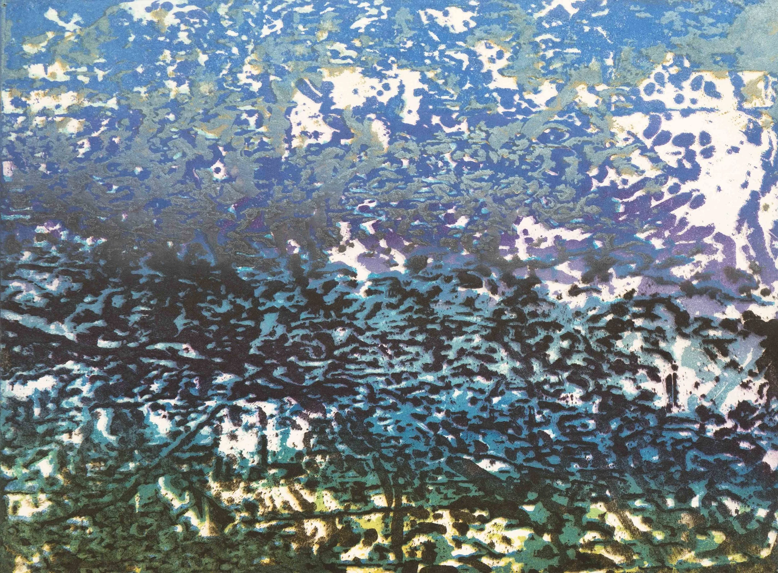 Mortefontaine 12, image 20x27cm. Aquatinte couleur monotype, 2011