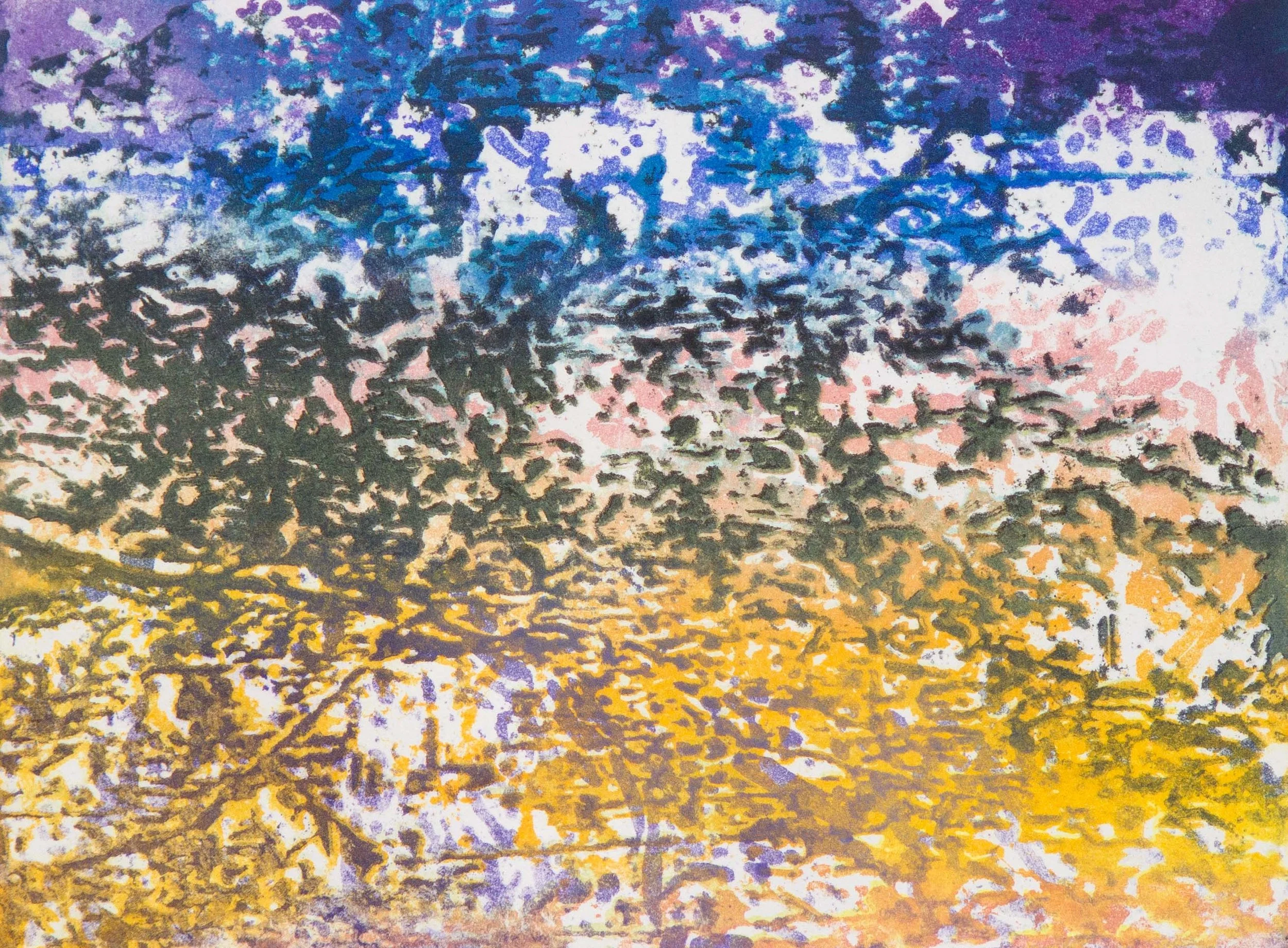 Mortefontaine 2, image 20x27cm. Aquatinte couleur monotype, 2011
