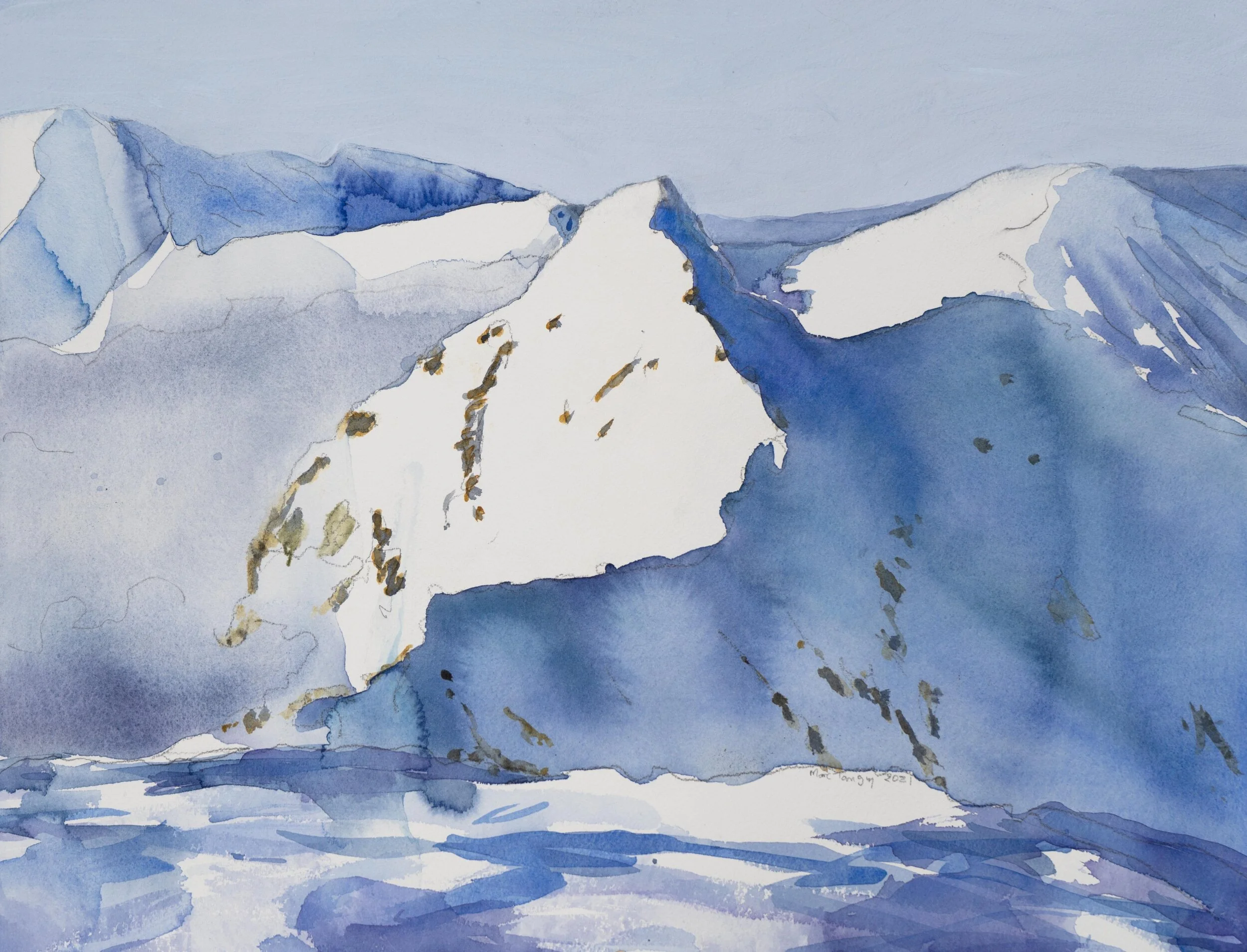 Cimes, 38x50cm. Aquarelle et acrylique, 2021, collection particulière