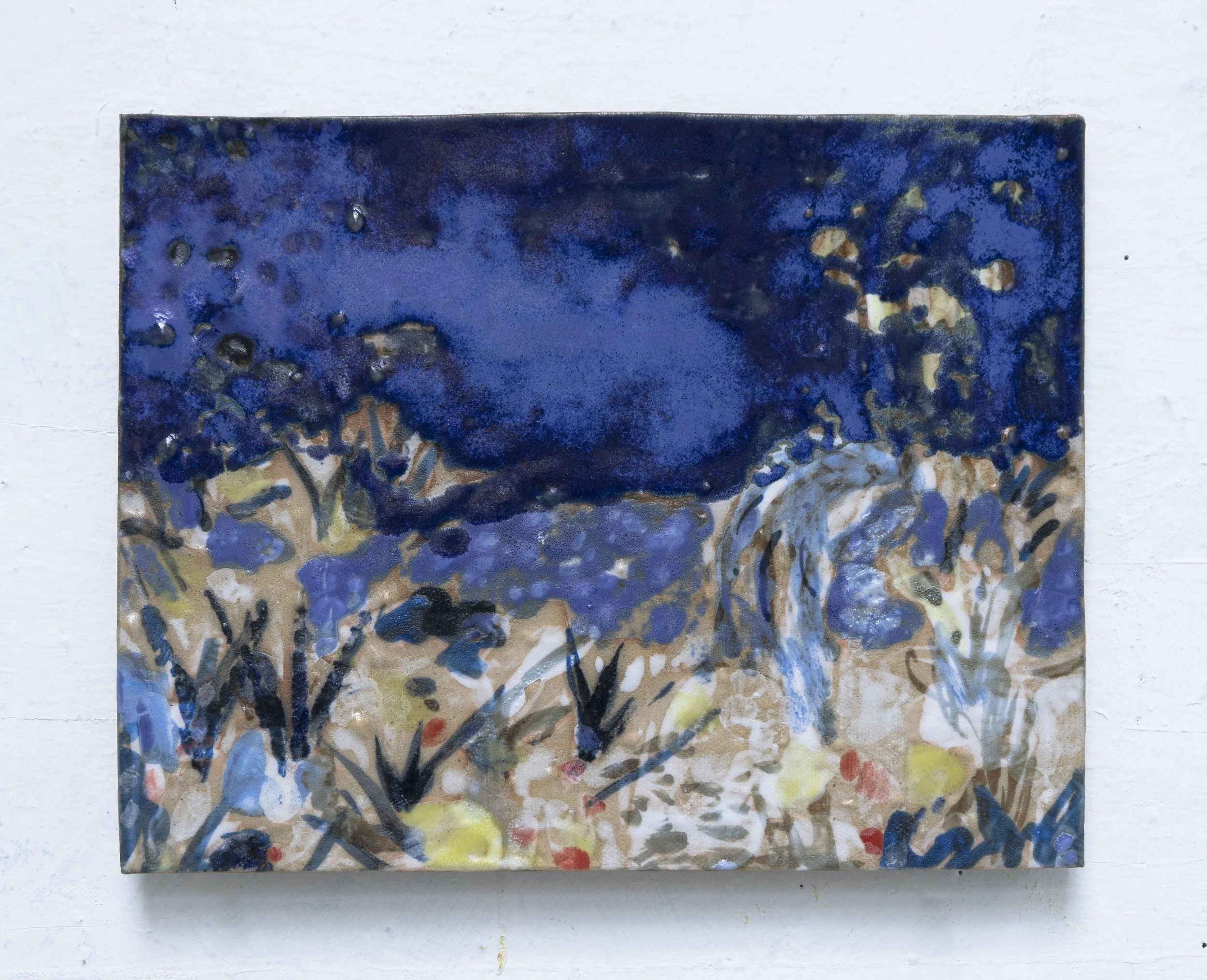  Jardin de Nuit, 20x25,5cm. Céramique, 2025 