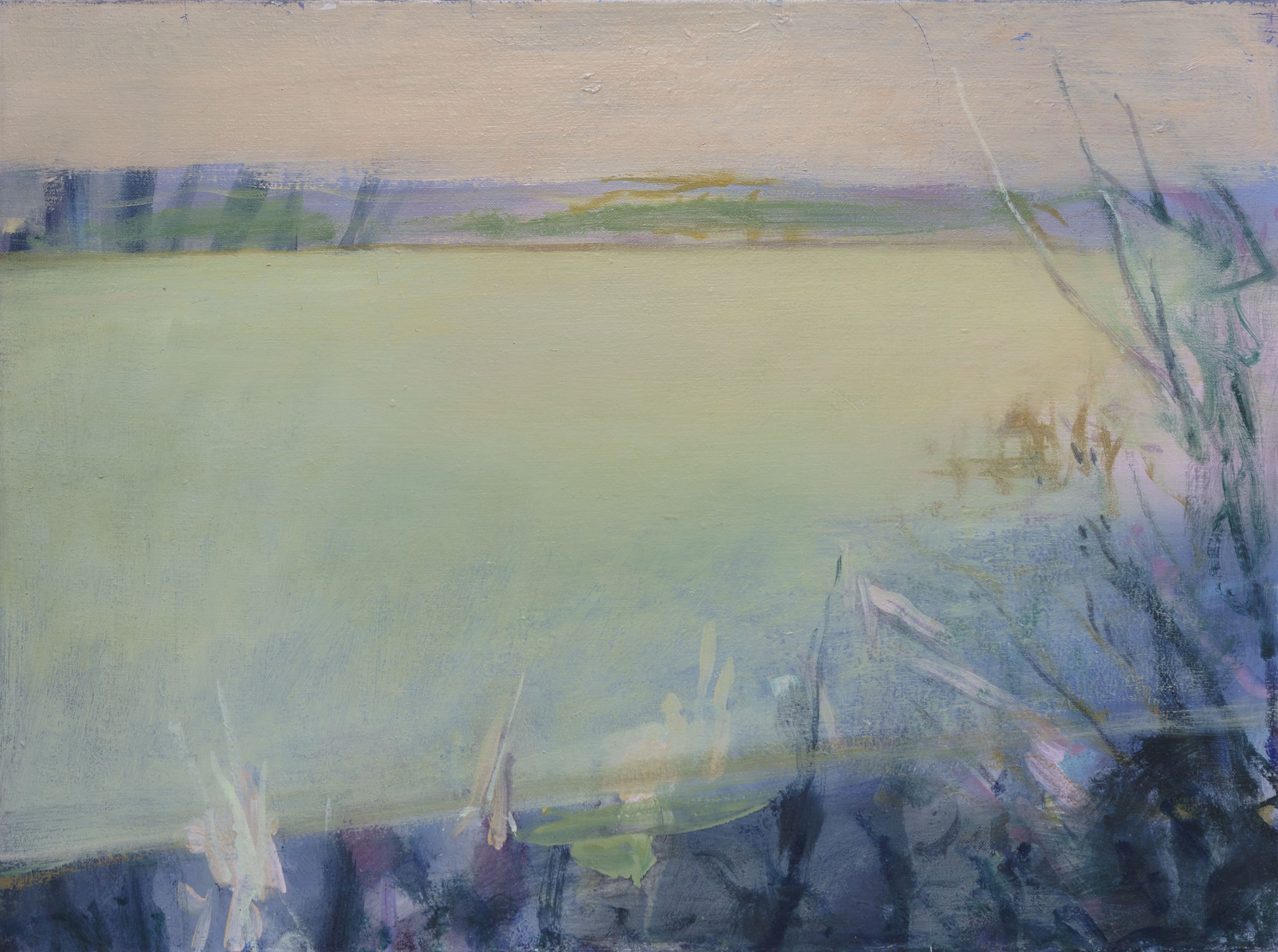 Lac, 60x81cm. Huile sur toile, 2013 -  Lake, 23.6 × 31.9 inches. Oil on canvas, 2013  
