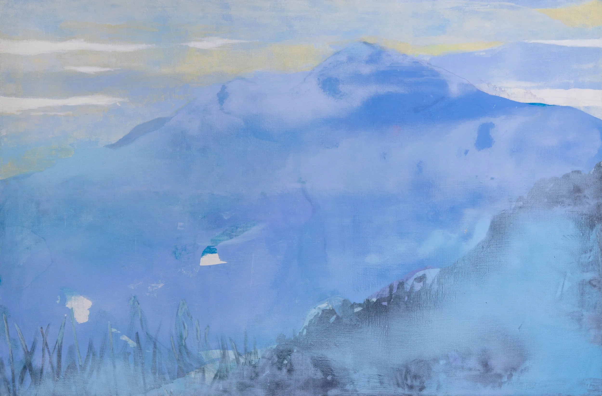  Savoie, 130x195cm. Huile sur toile -  51.2 × 76.8 inches. Oil on canvas,  2017 