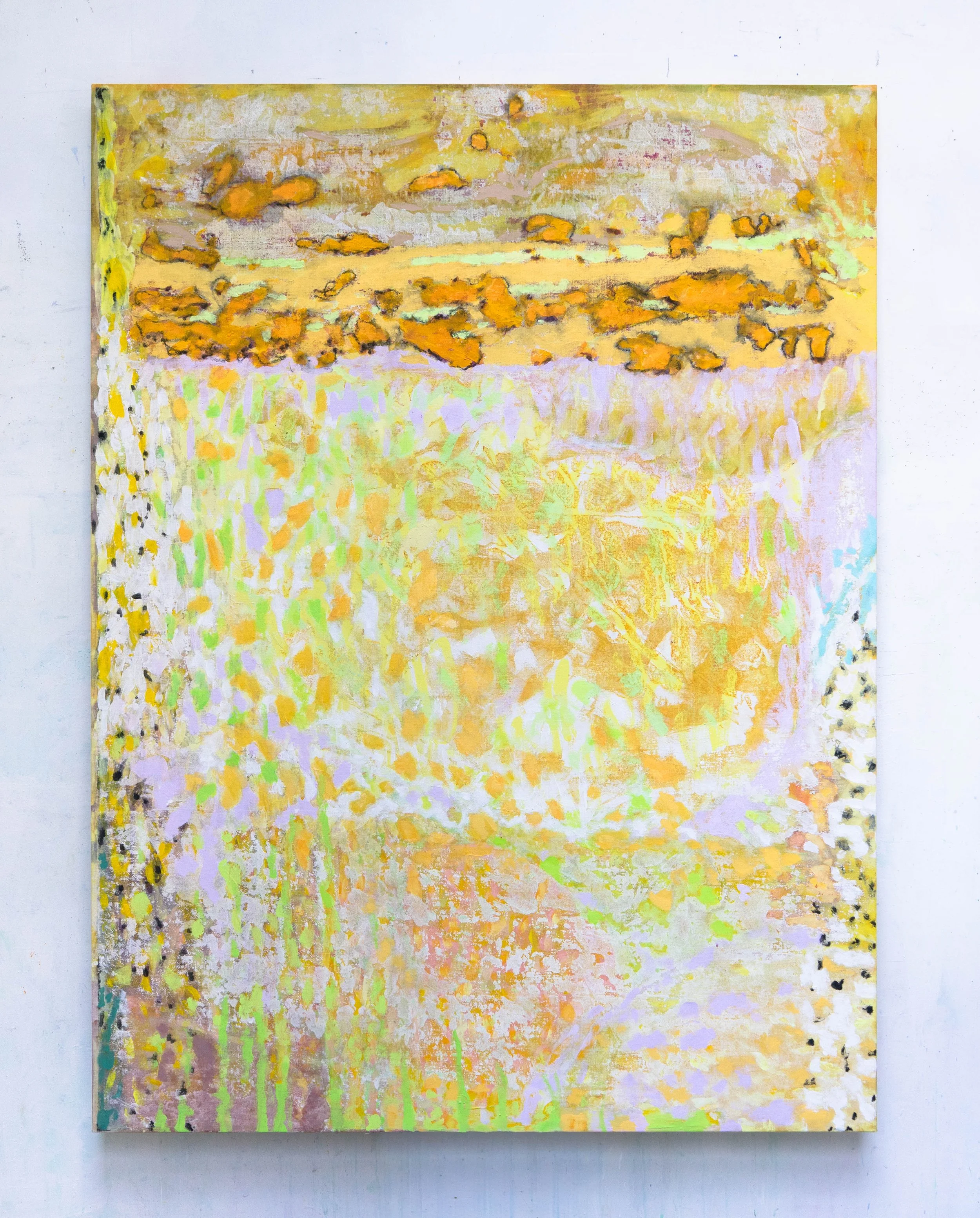  Tissu d'Indécision 2, 200x150cm. Acrylique et huile sur toile -  Indecision Fabric 2, 59.1 × 78.7 inches, Acrylic and oil on canvas,  2025 