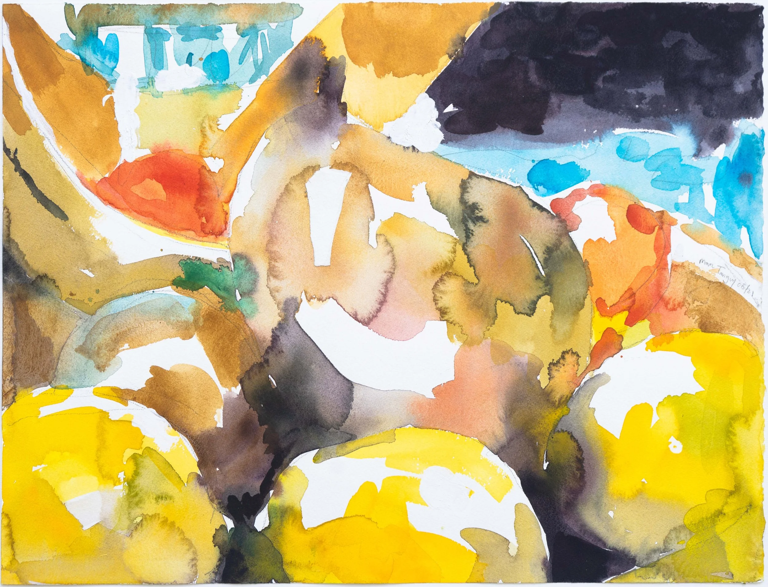  Fruits, 38x50cm. Aquarelle, 2021 
