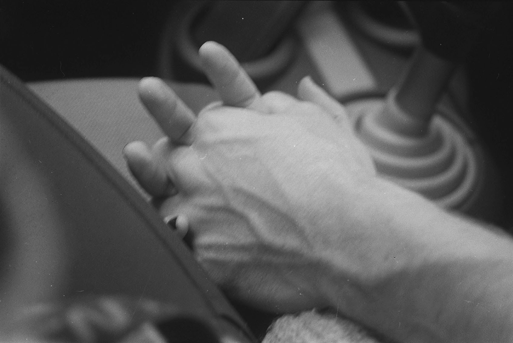 img003.jpg