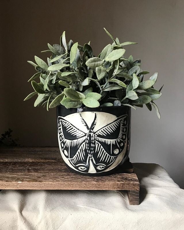 Today&rsquo;s the day - the shop update is coming today at 12pm EST! I also have preorders open if you miss any one of a kind pieces.➰
.
.
.
.
.
.
.
#ceramics #ceramicart #handmade #handmadeplanter #womanmade #wheelthrown #potteryforall #sgraffito #m