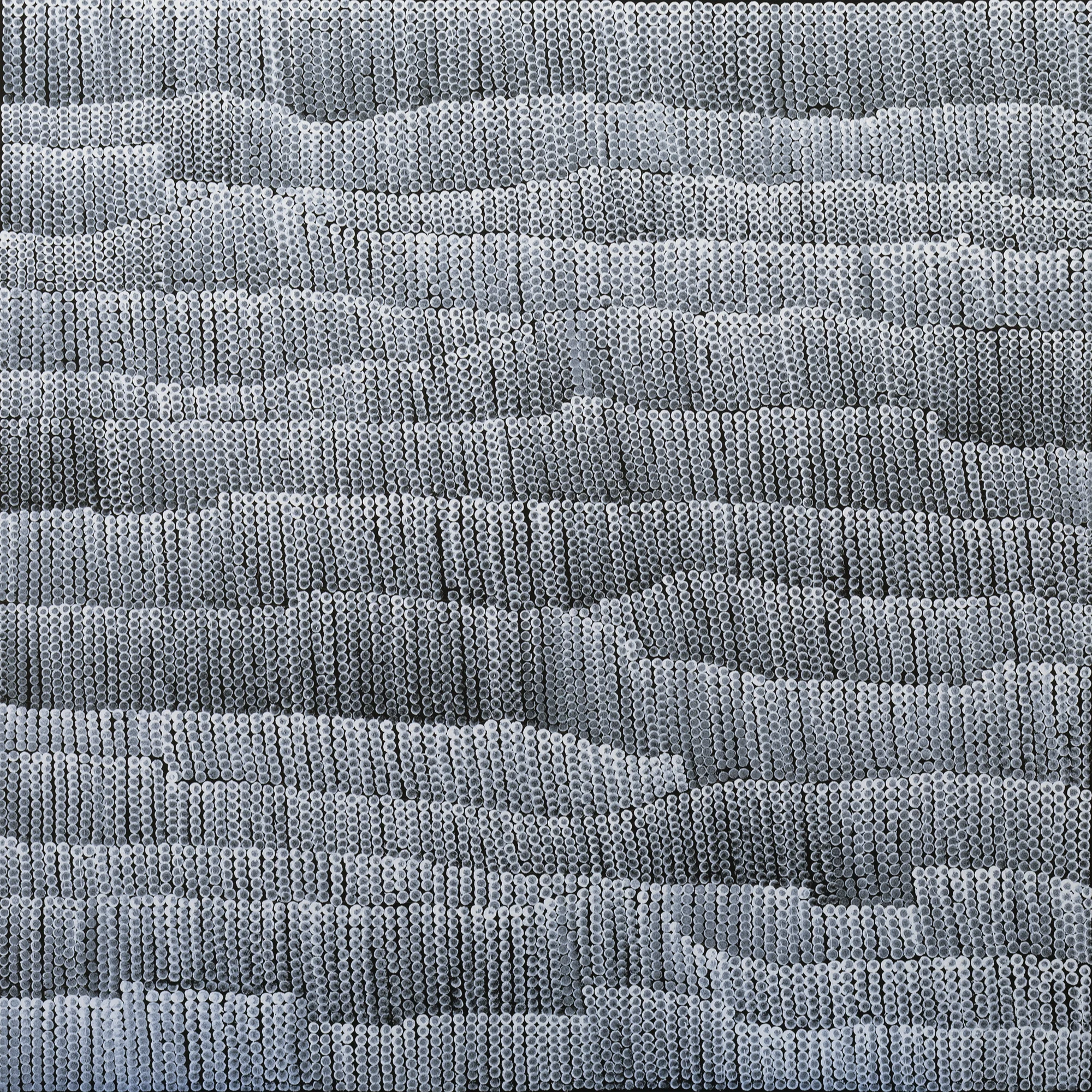 Dot Drawing; black on white no. 2; Memory Landscape