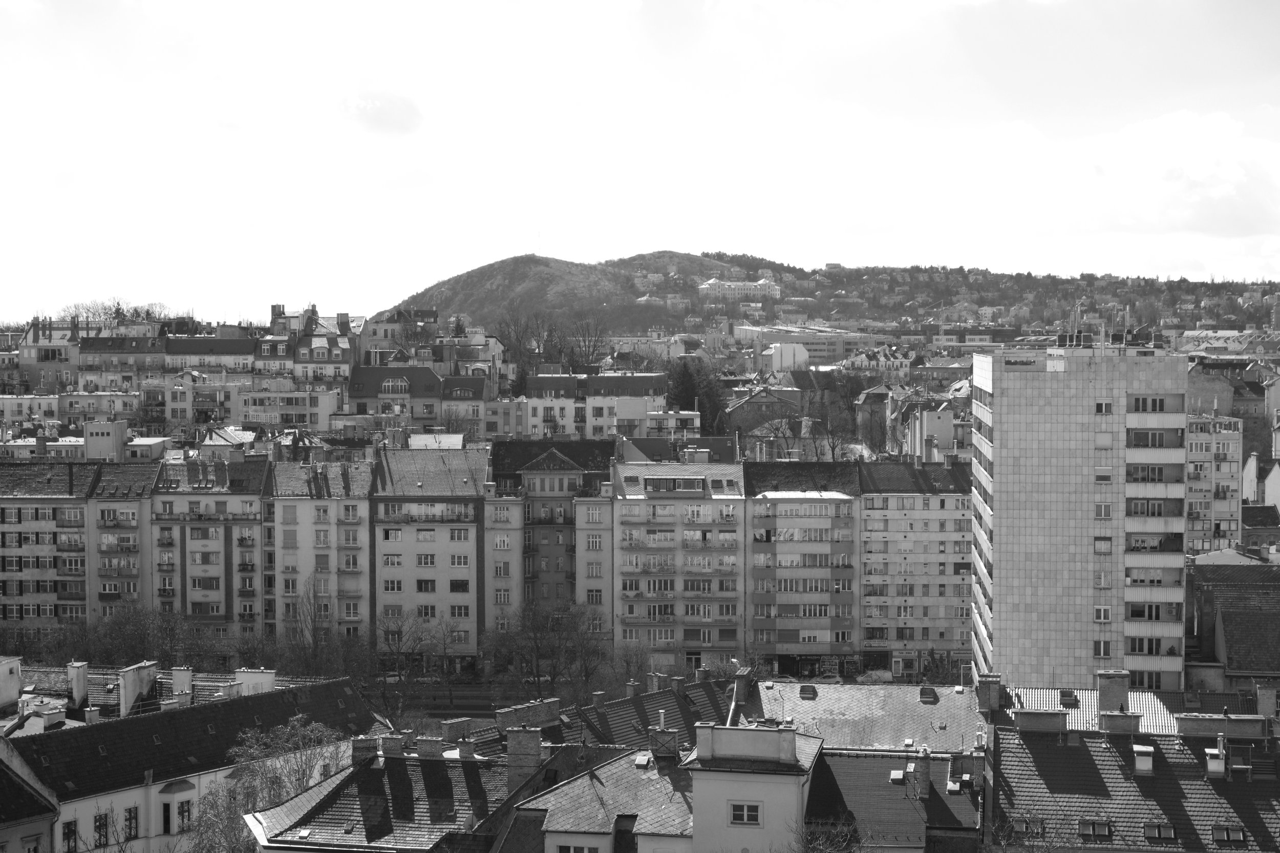 DSC01984bw.jpg