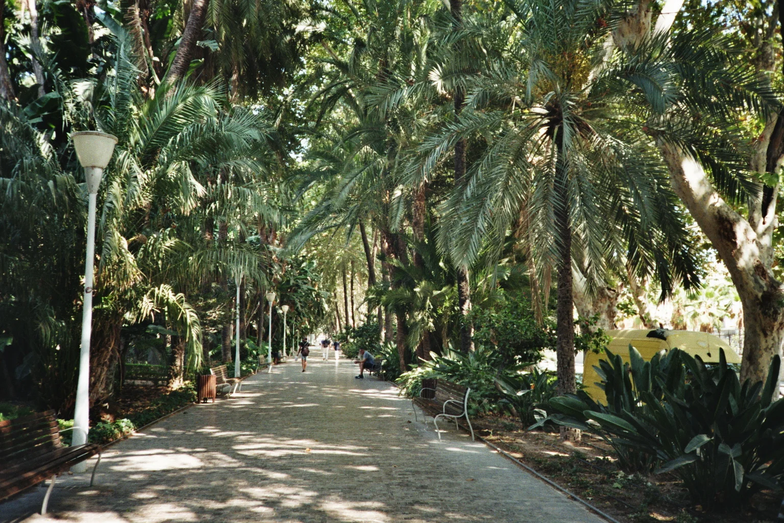imm011_12.jpg