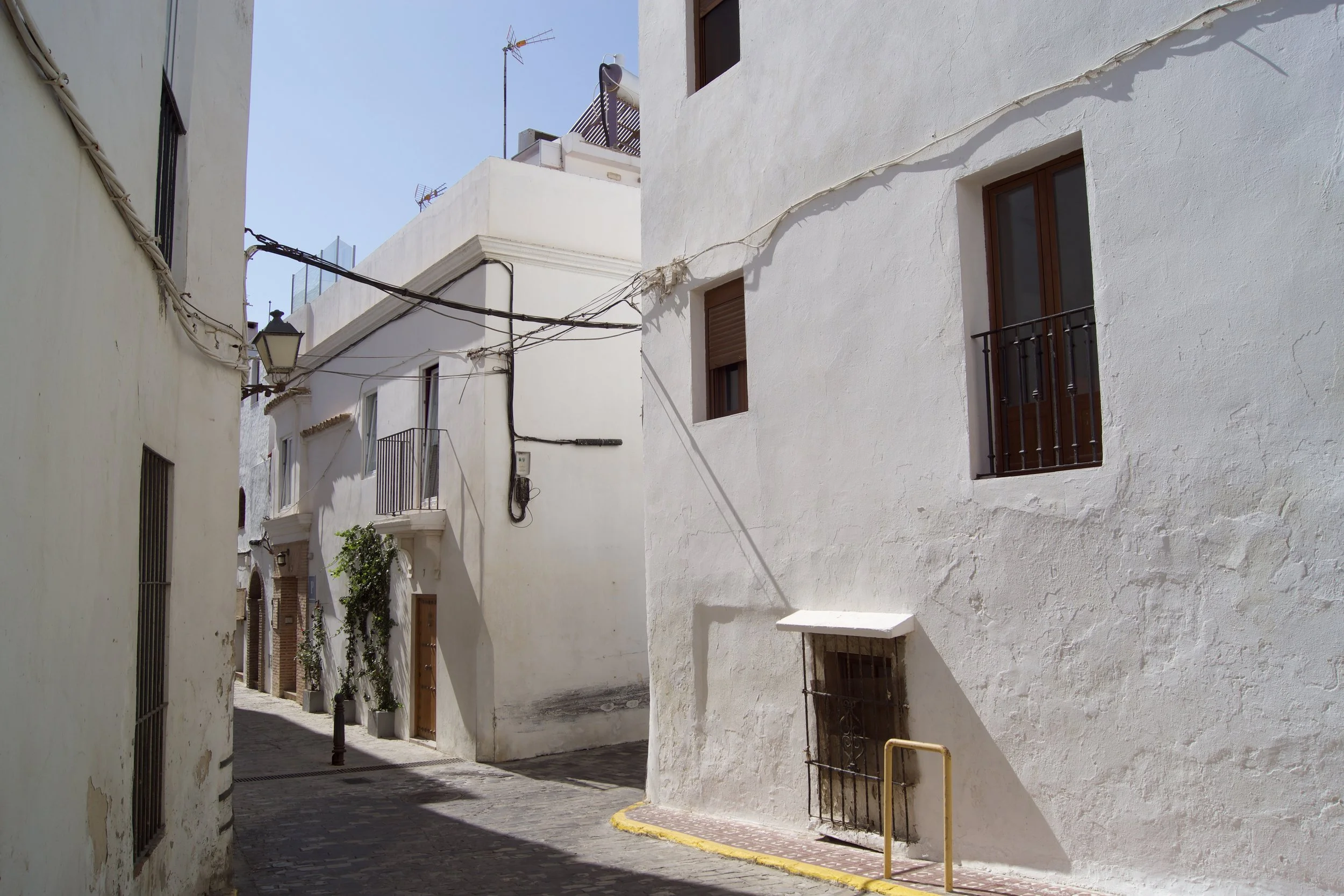 DSC00815.jpg