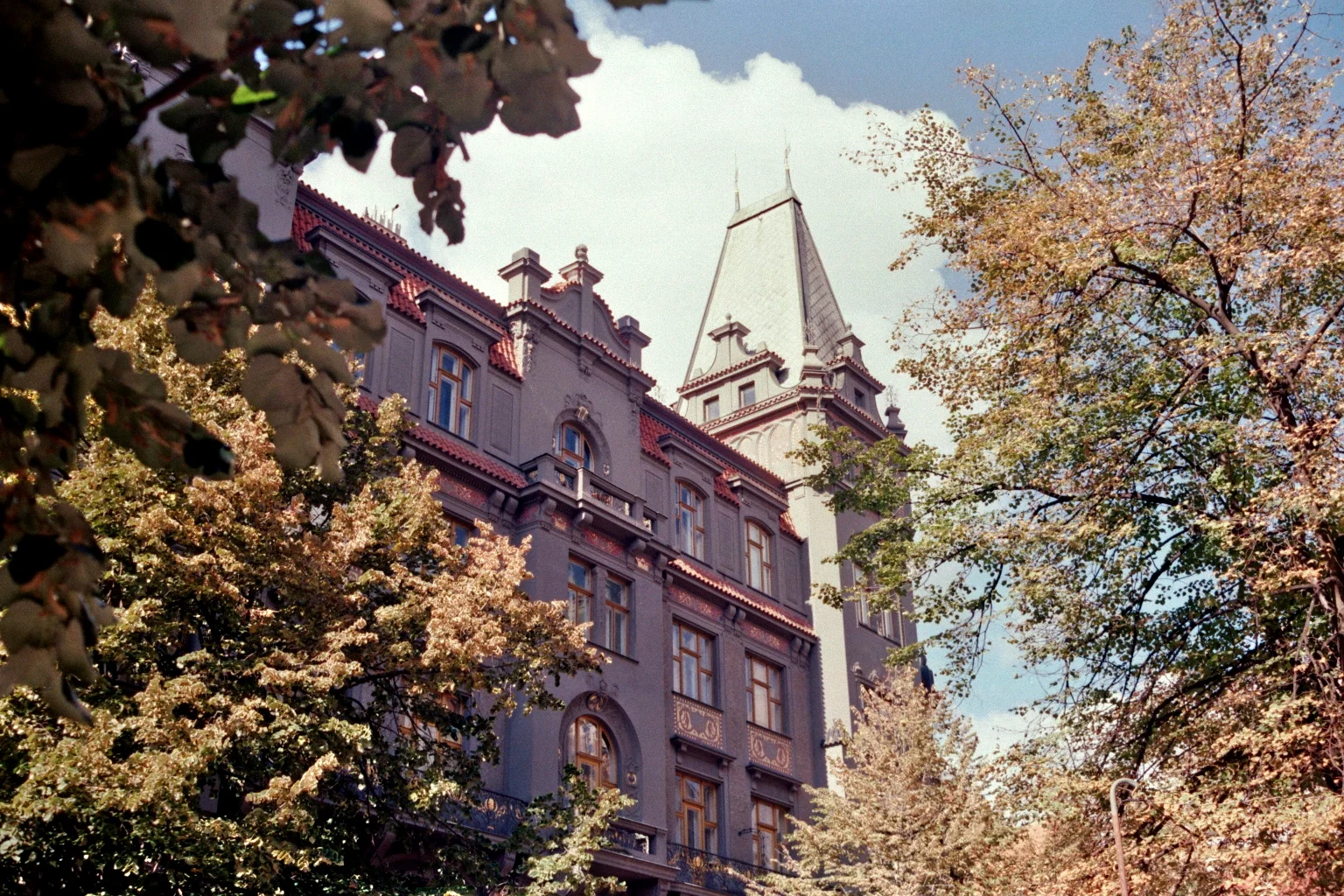 imm0007_7ii.jpg