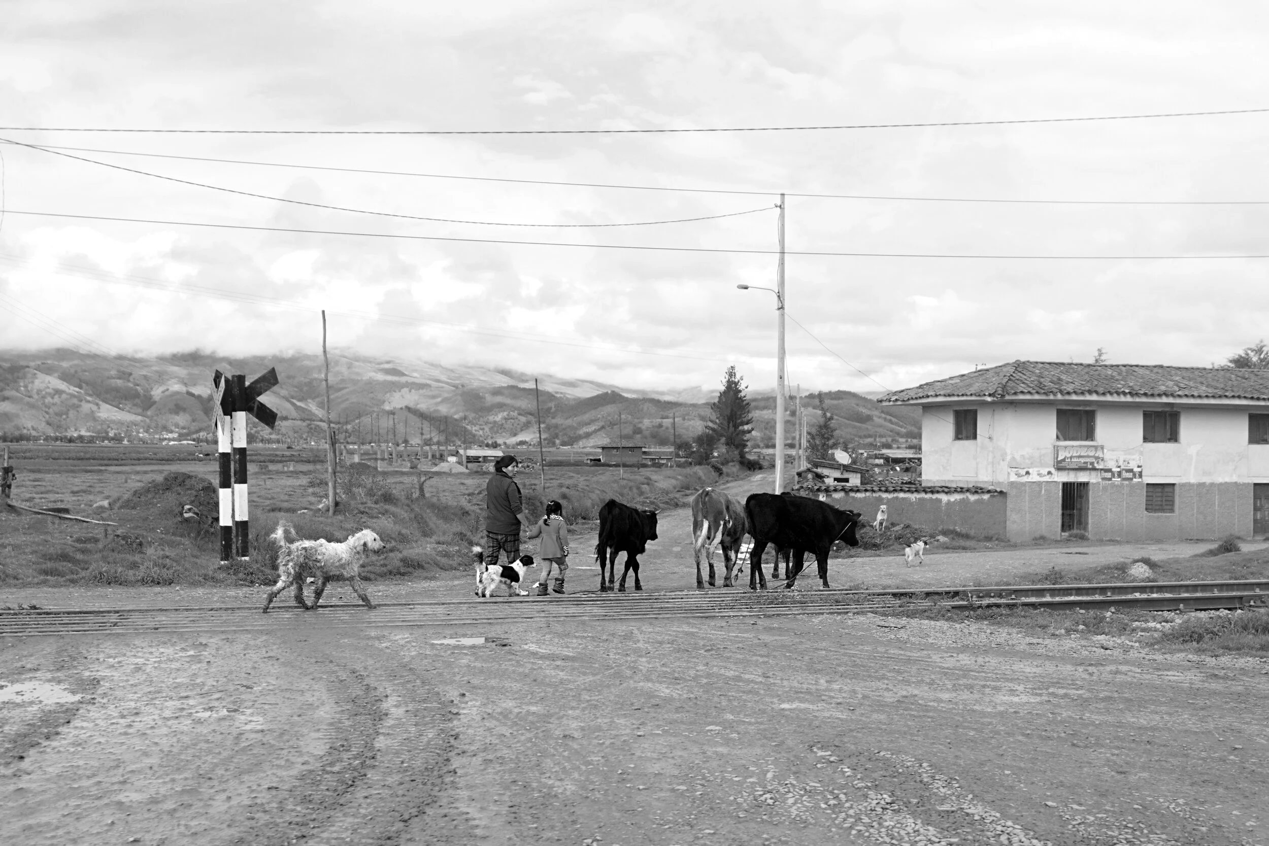DSC04451bw.jpg