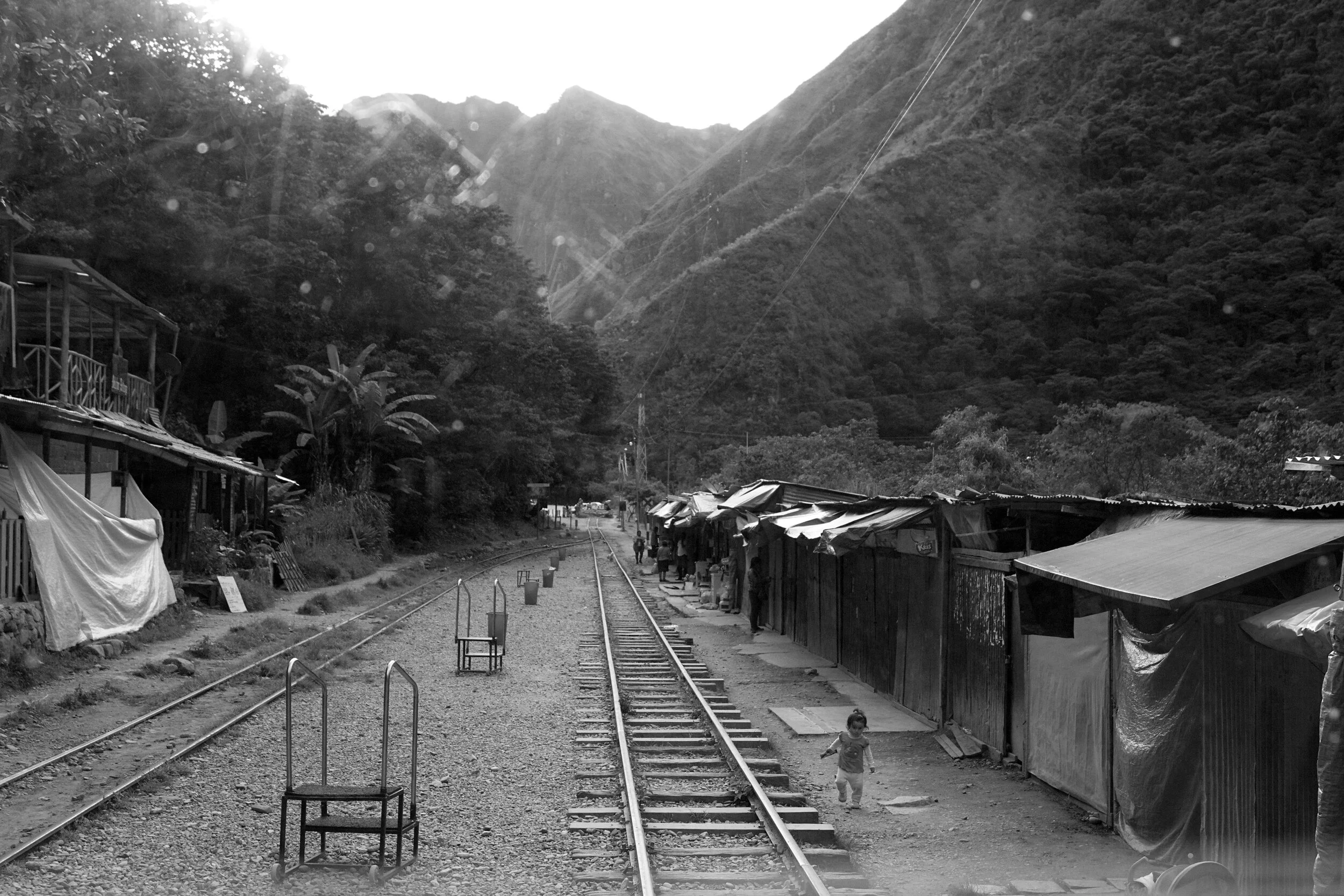DSC04497bw.jpg