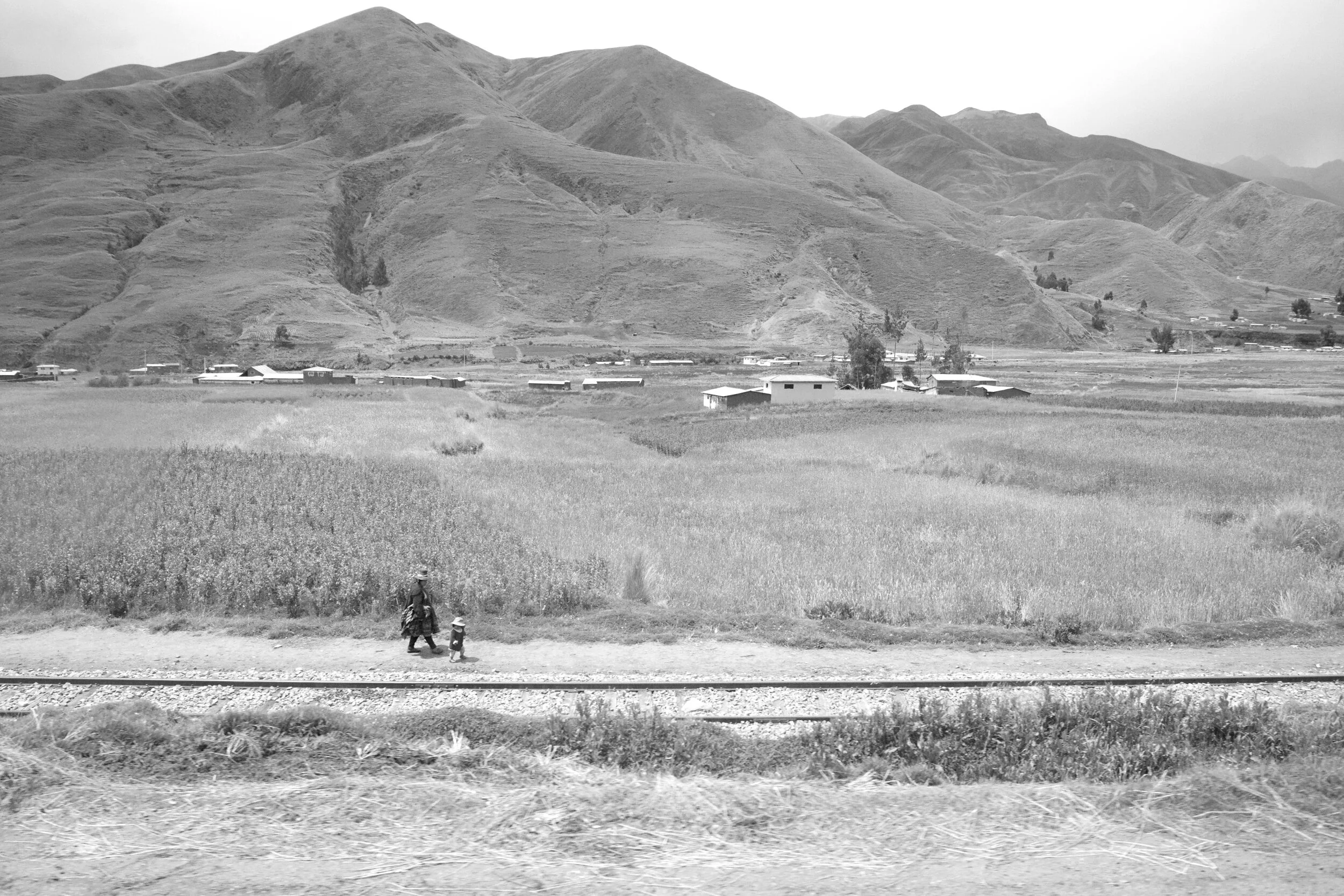 DSC04756bw.jpg
