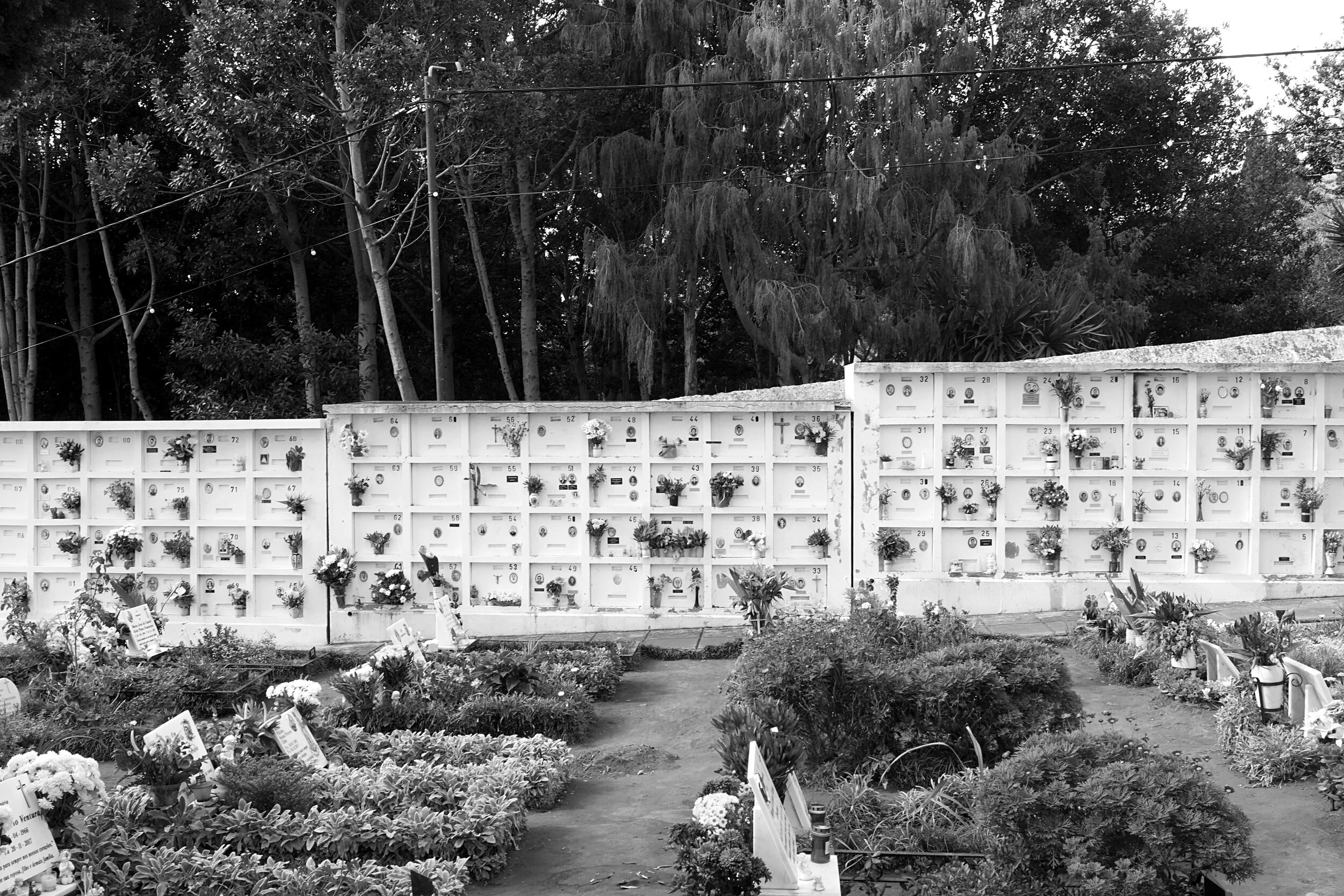DSC05518bw.jpg