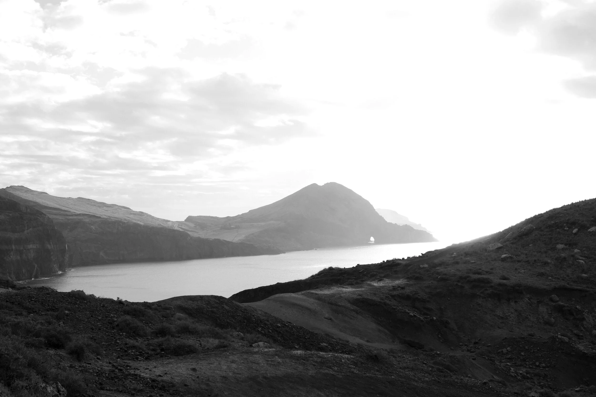 DSC05570bw.jpg