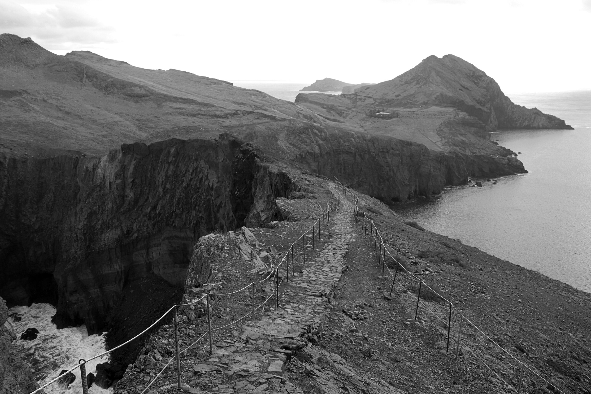 DSC05597bw.jpg