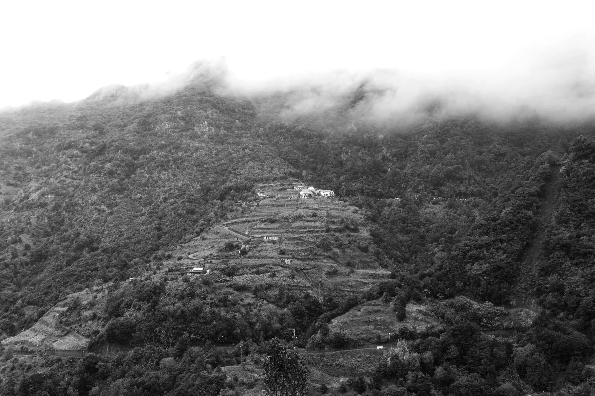 DSC05634bw.jpg
