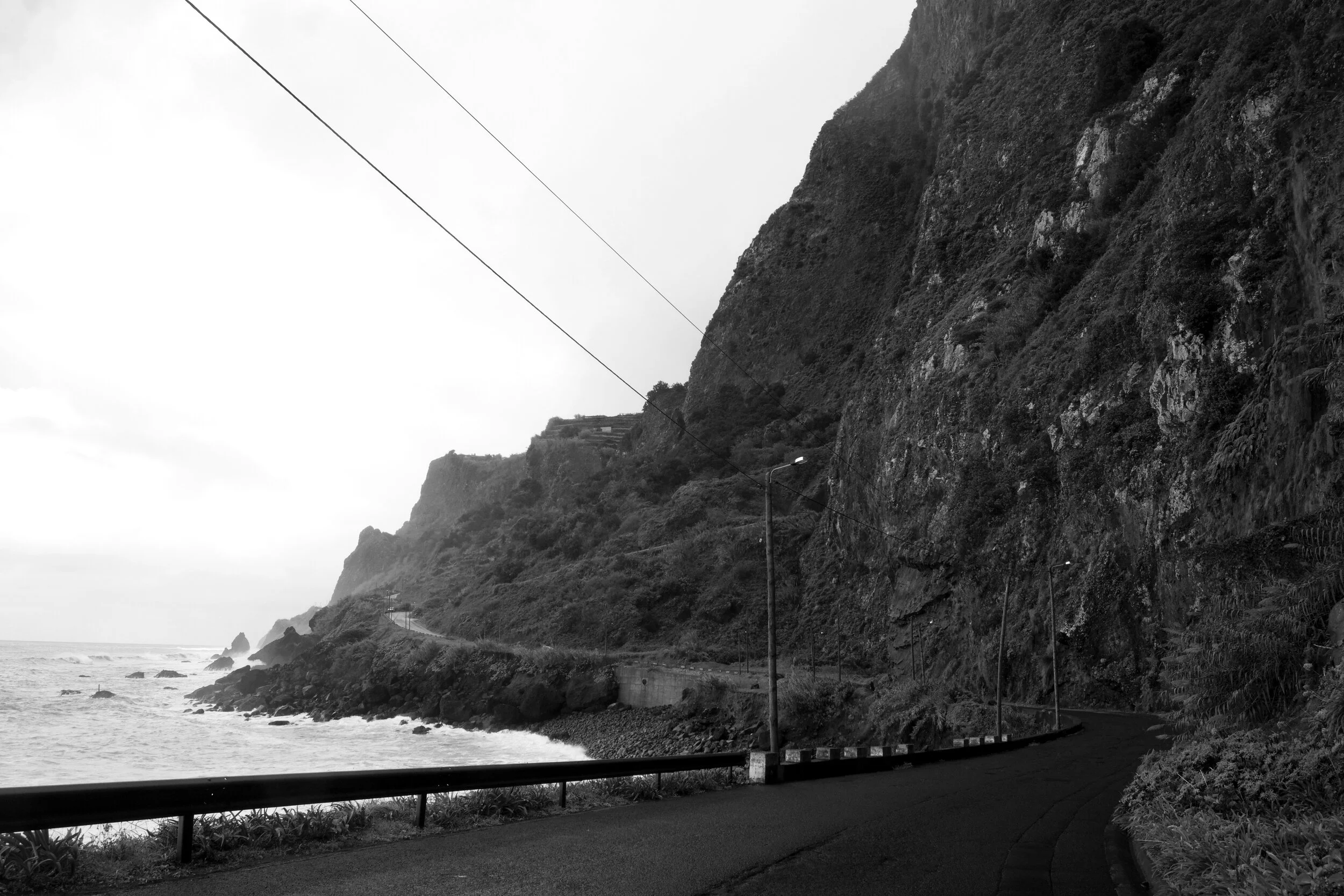 DSC05644bw.jpg