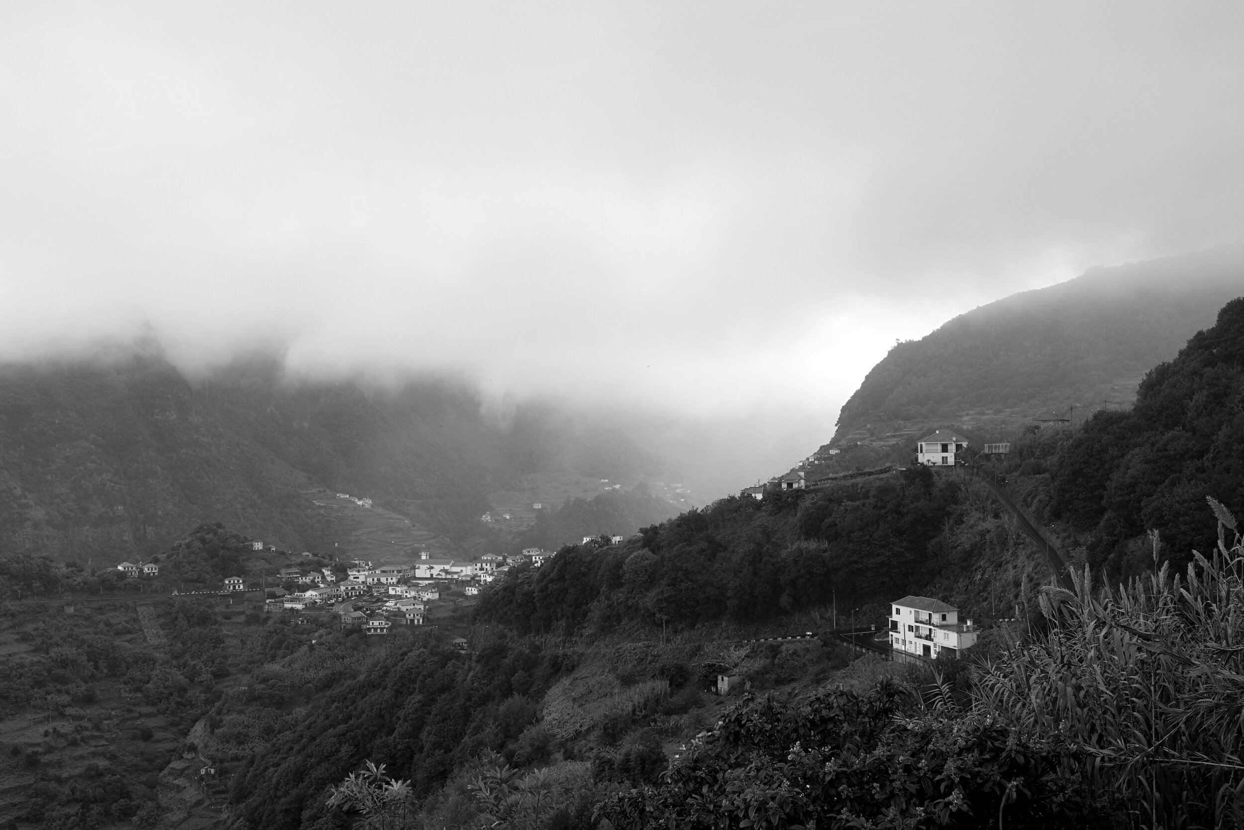 DSC05676bw.jpg