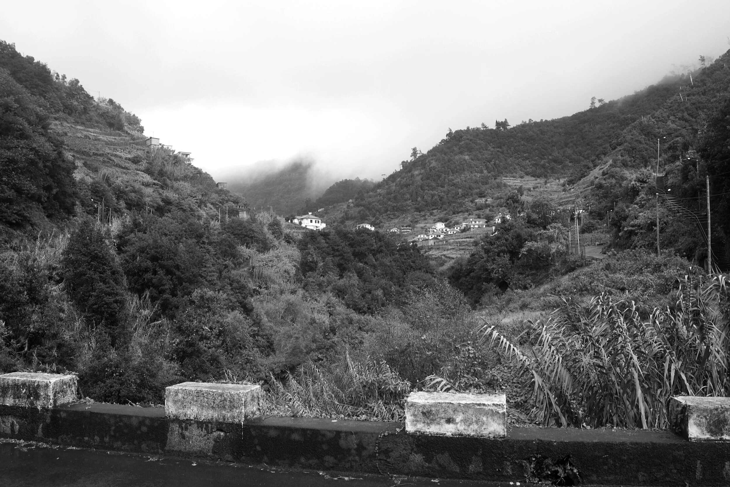 DSC05683bw.jpg