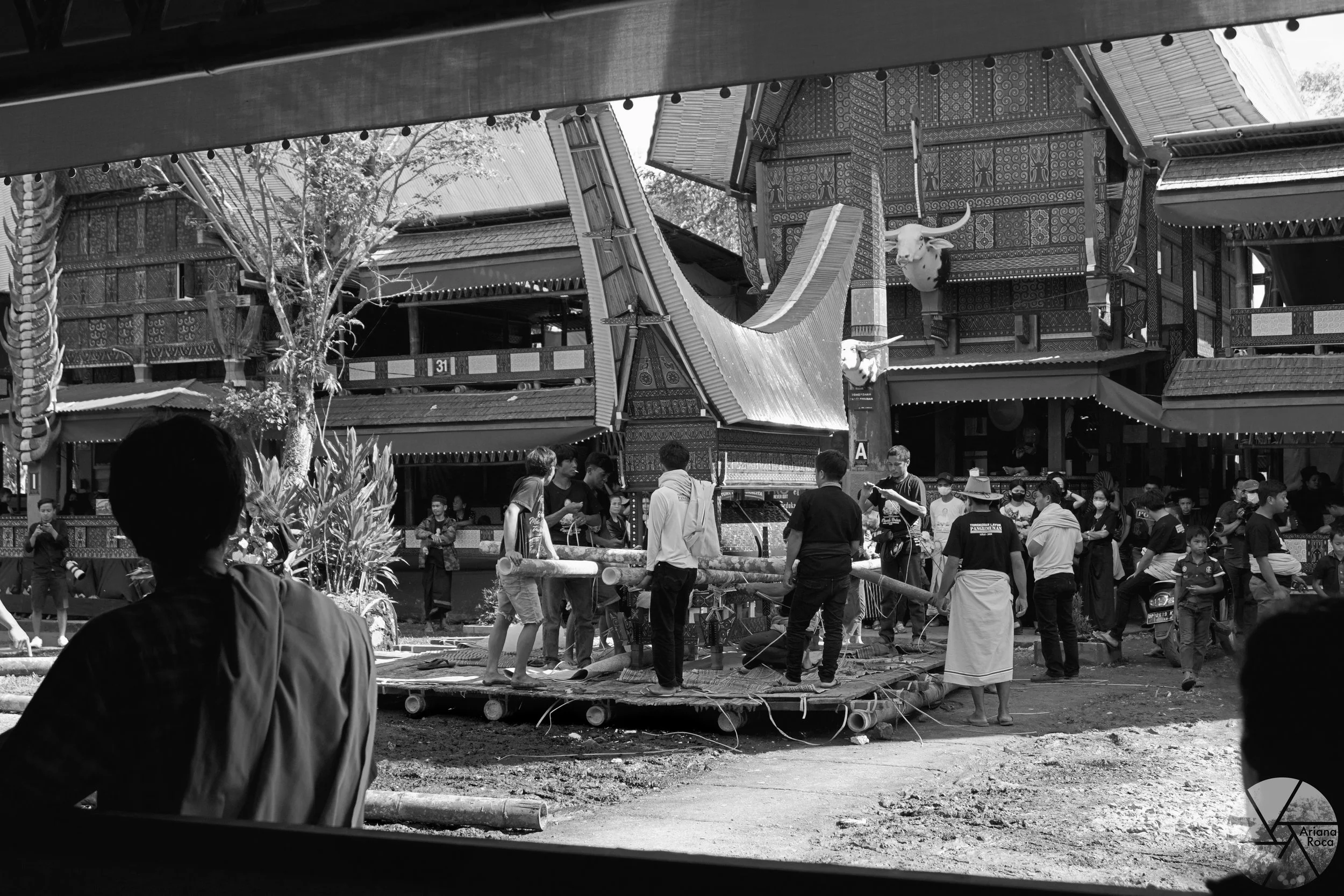 DSC06640bw.jpg