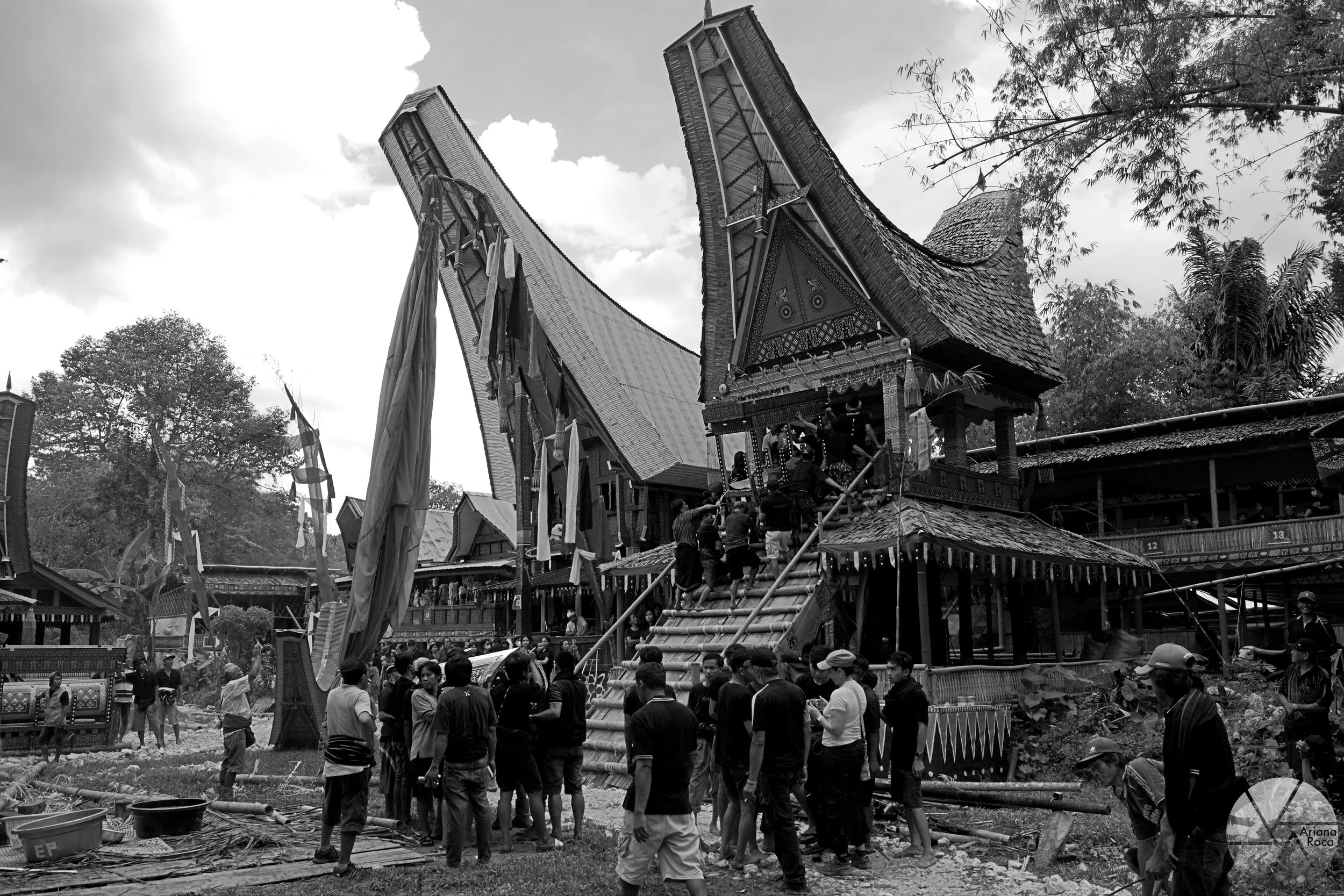 DSC06927bw.jpg