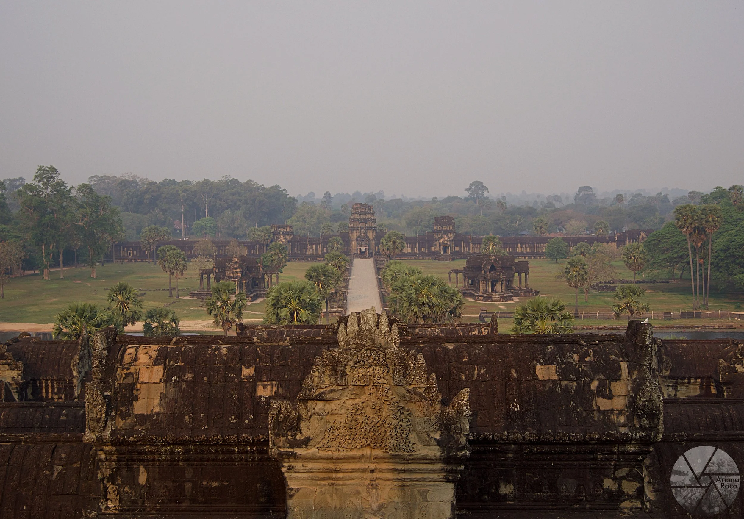 DSC07631l.jpg