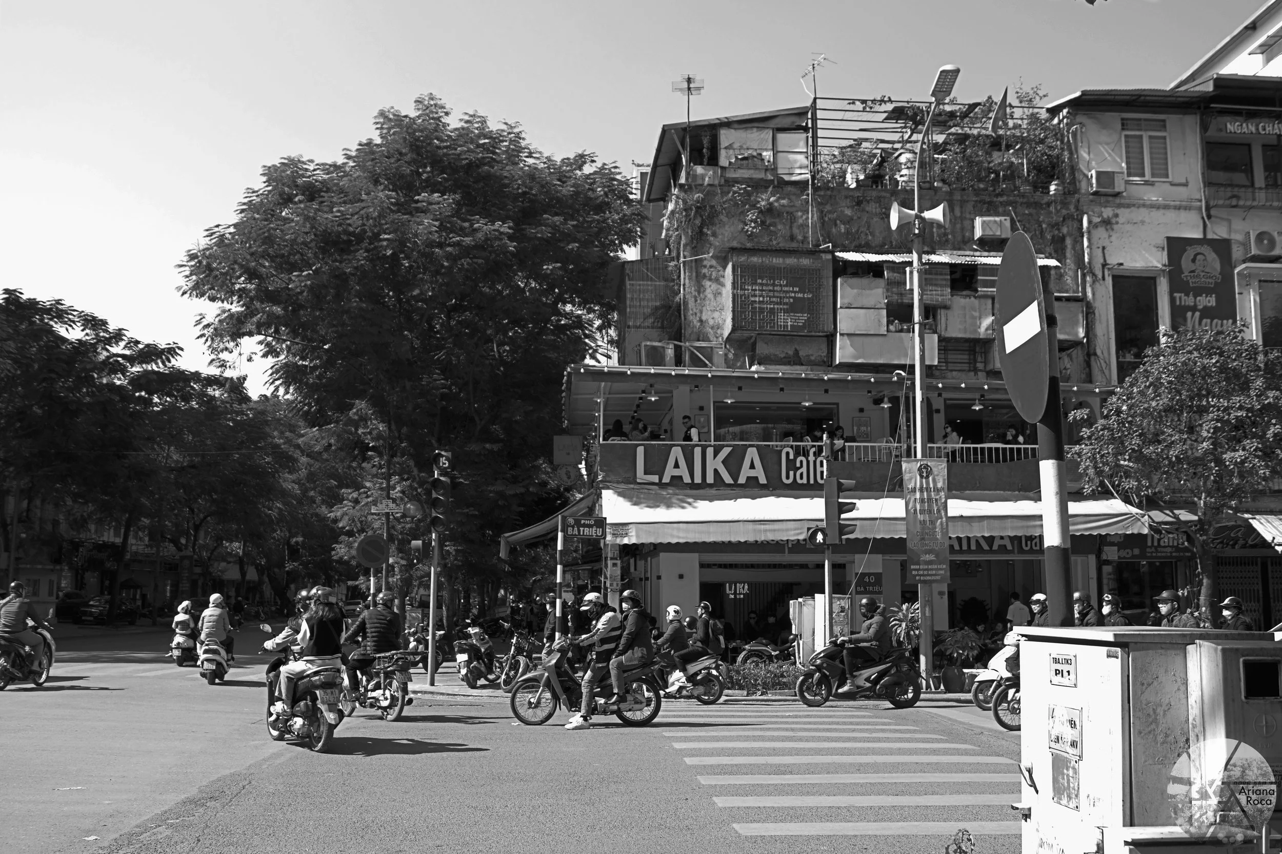 DSC07325bwl.jpg