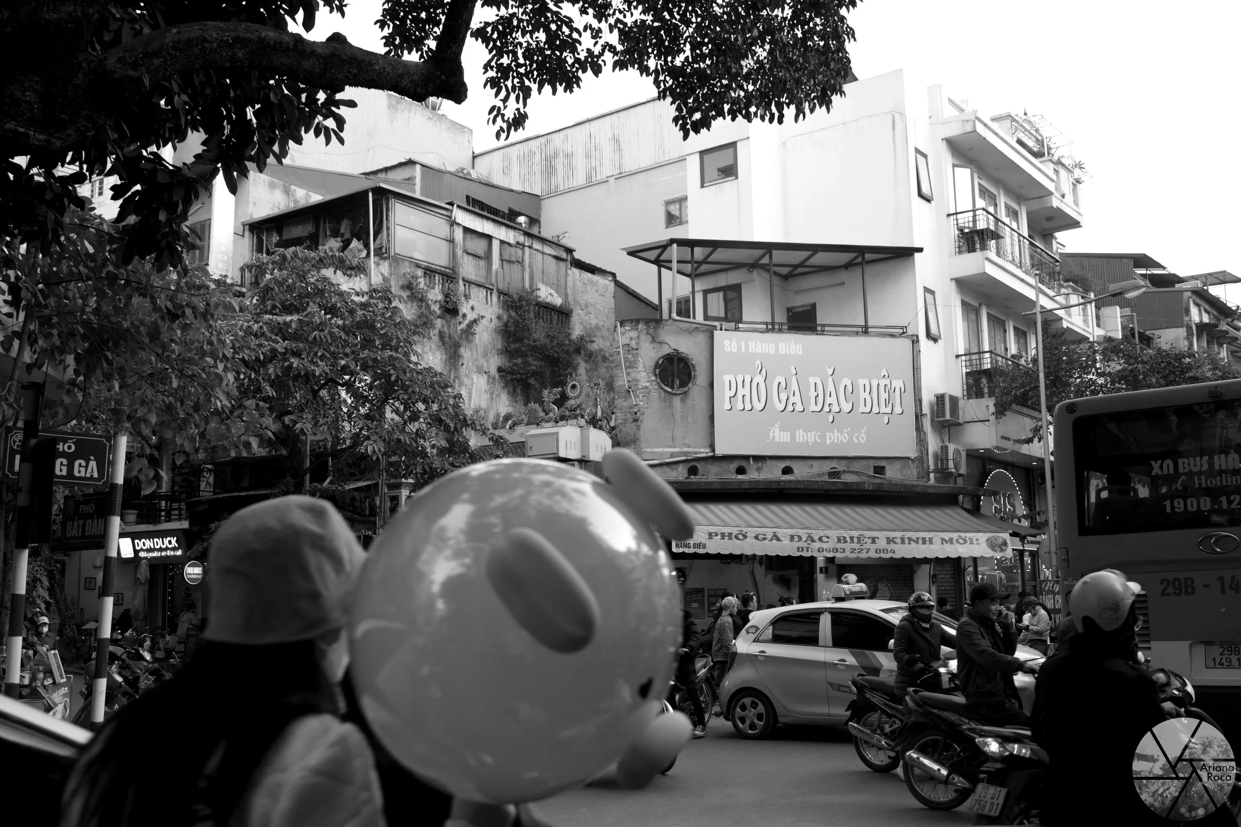 DSC07353bwl.jpg