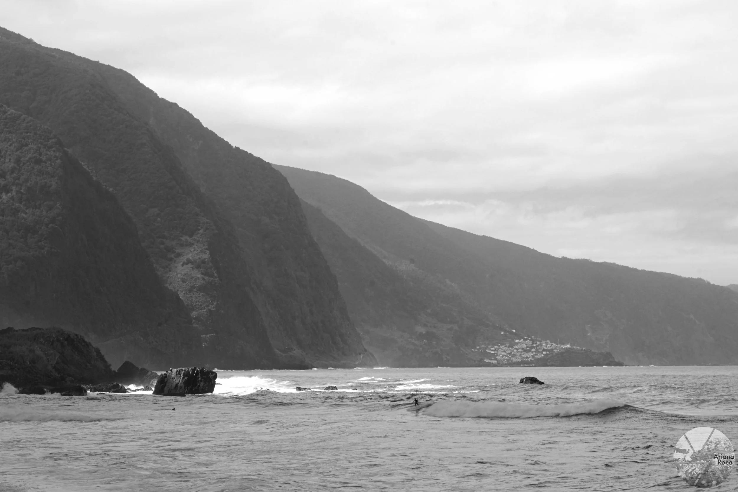 DSC08007.jpg