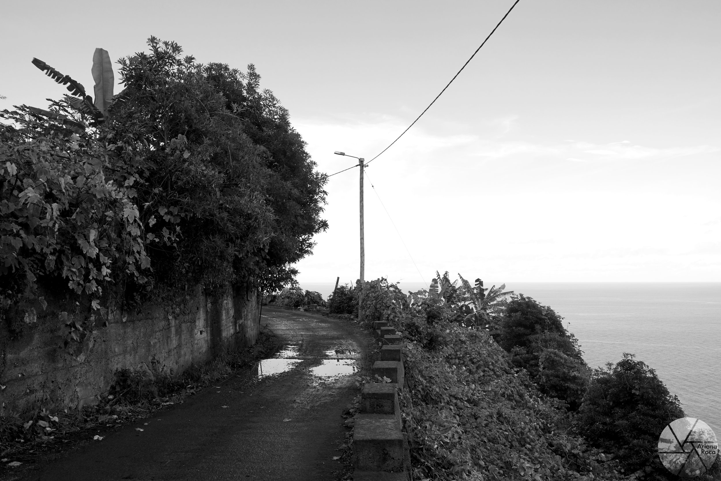 DSC08266bw.jpg
