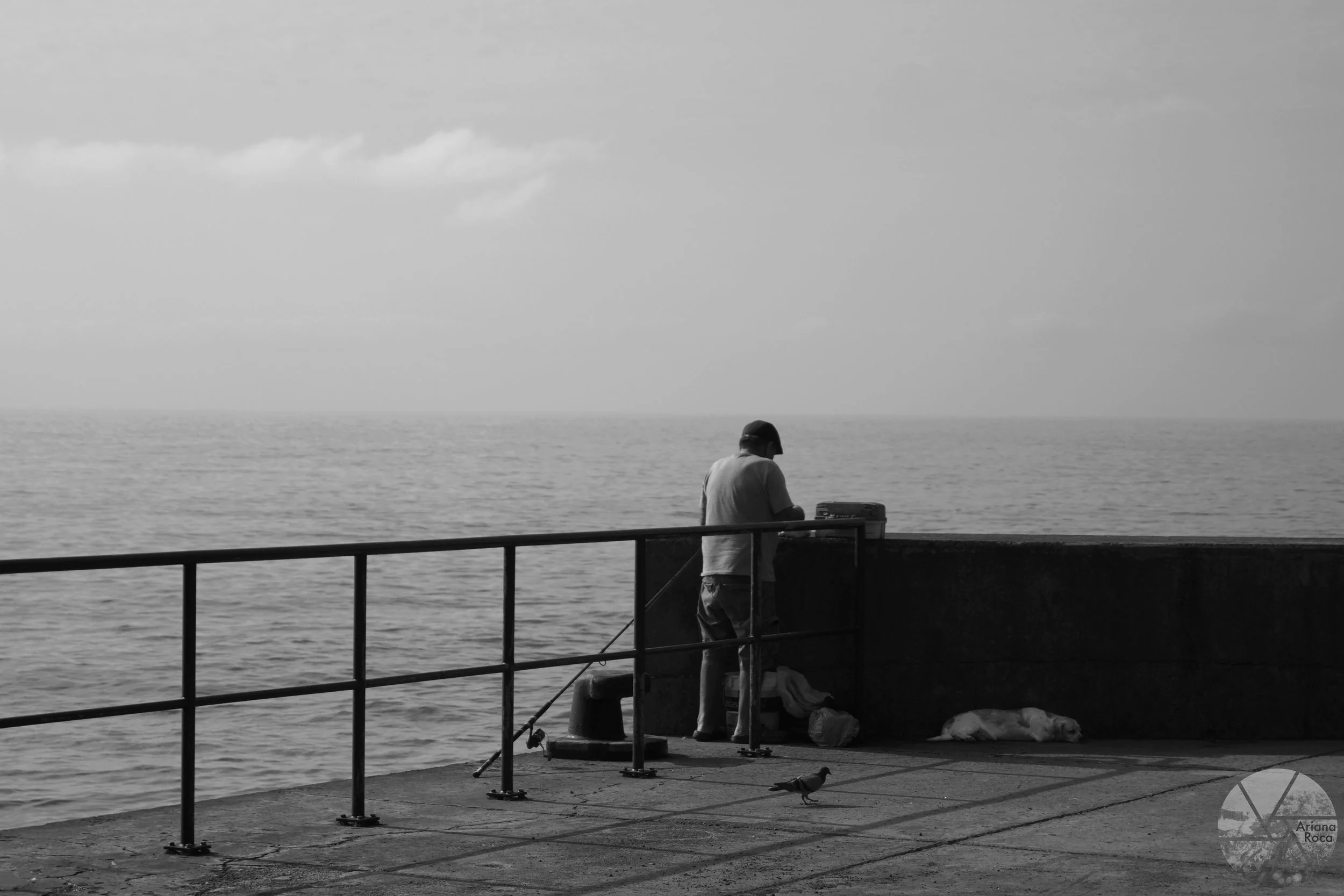 DSC08439bw.jpg